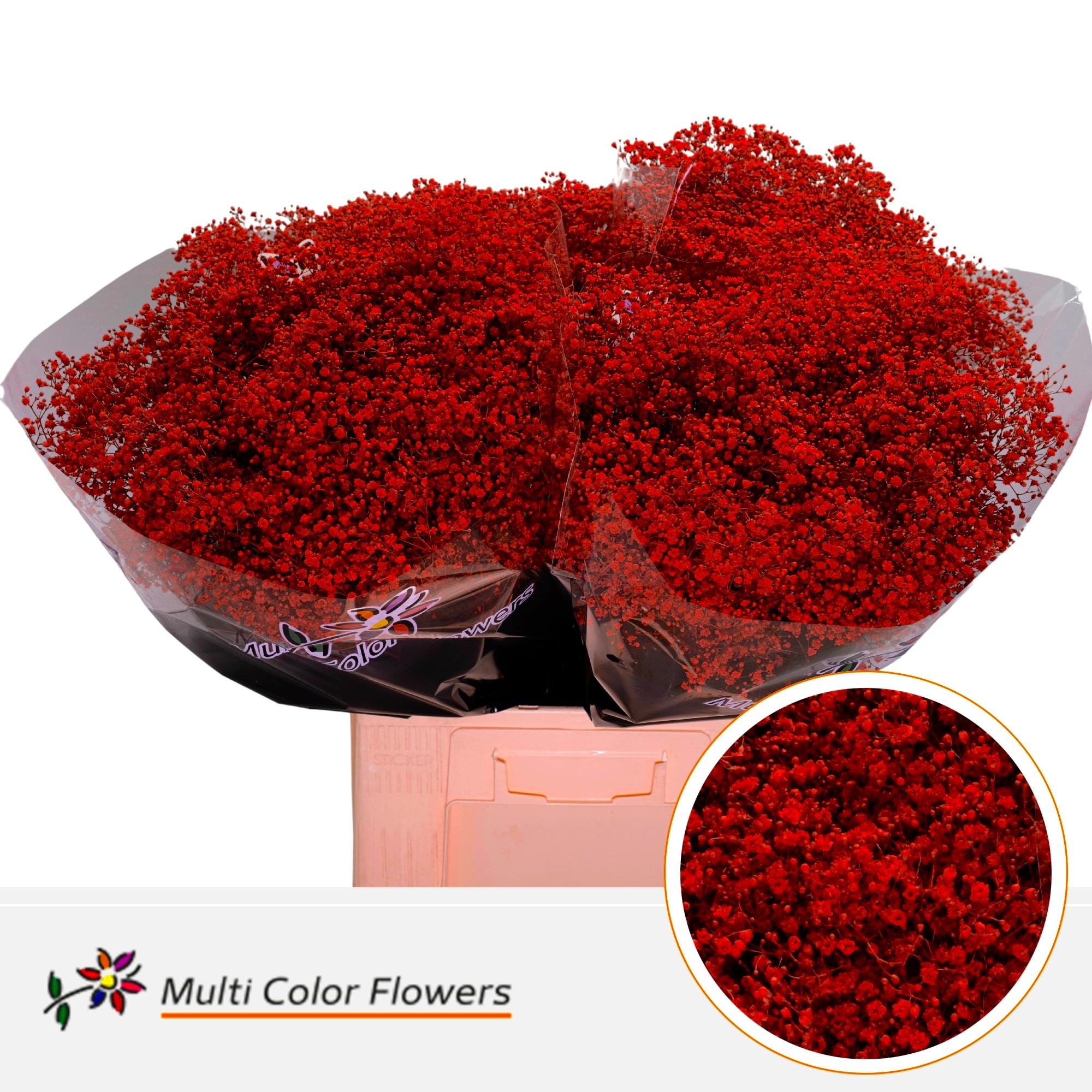 Gypsophila Painted Million Star Red 70cm