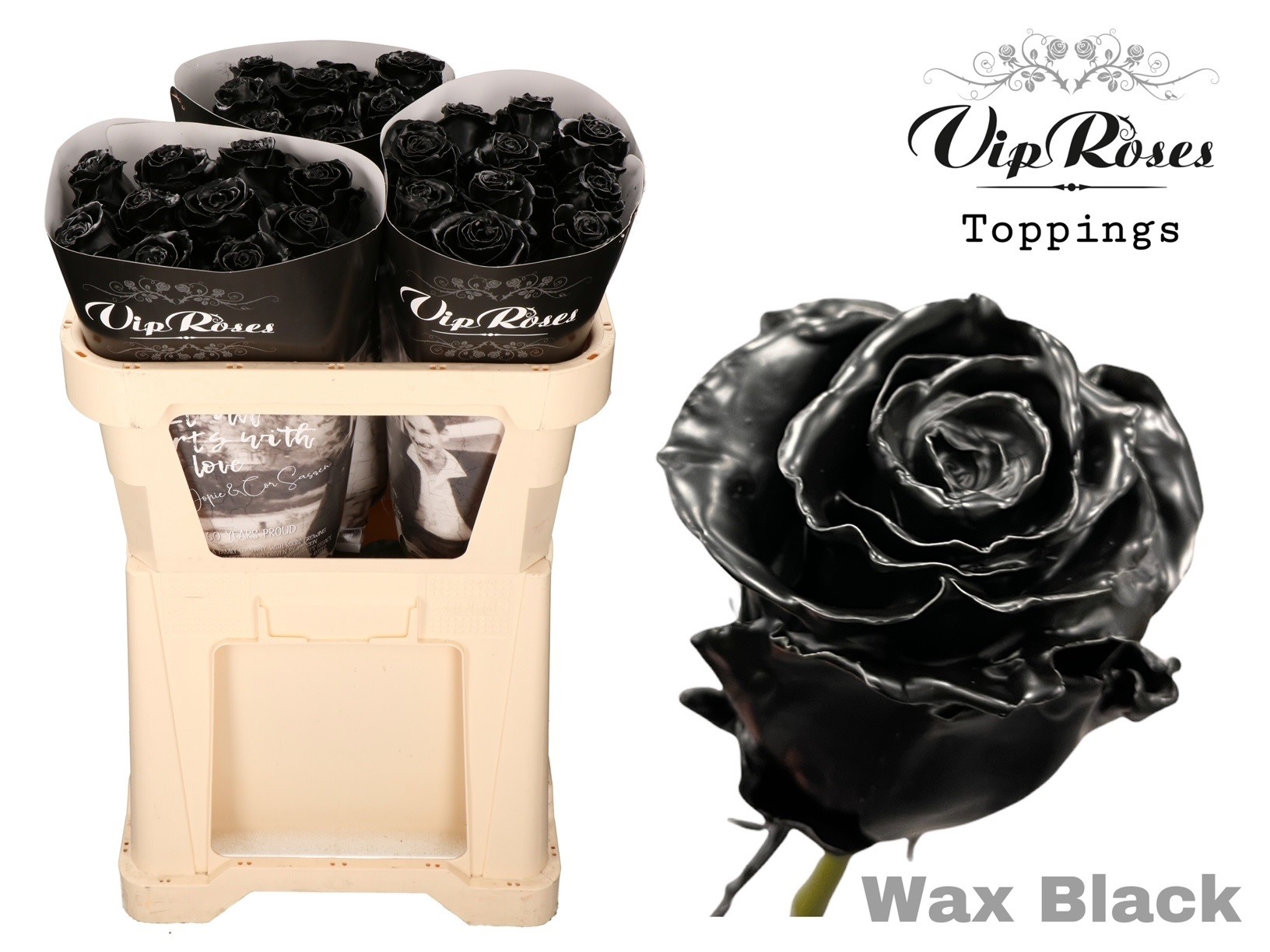 Rosa Waxed 70cm