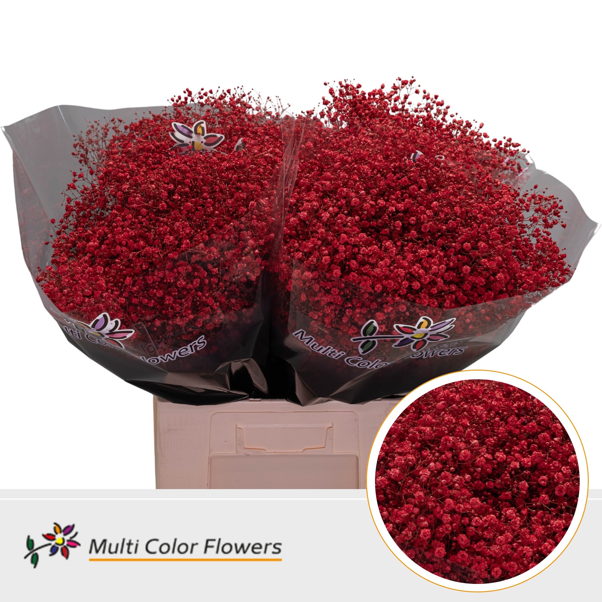 Gypsophila Painted Xlence Red 70cm