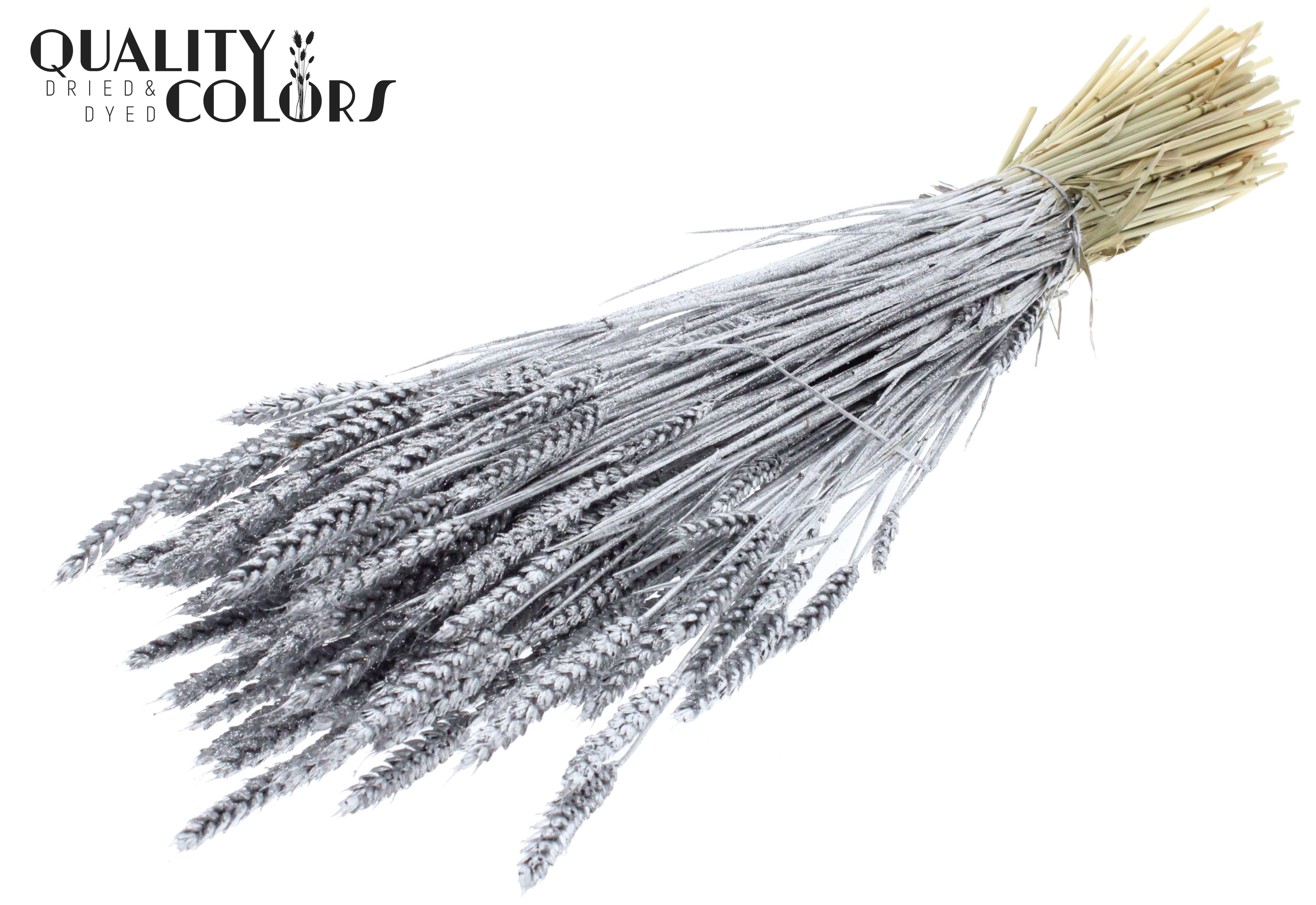 Triticum Silver + Glitter Per Bunch 60cm