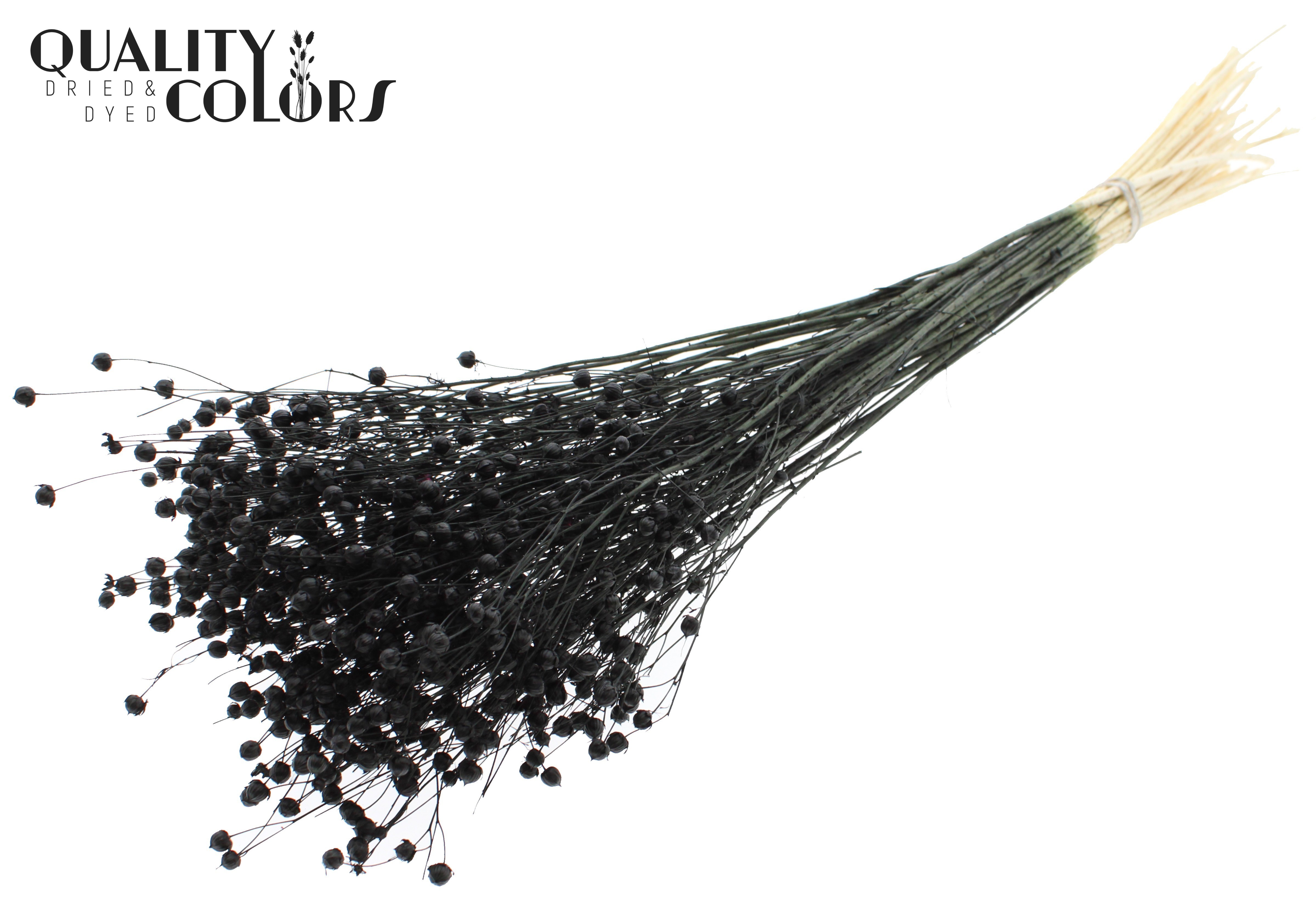 Lino Flax Intense Black Per Bunch 70cm