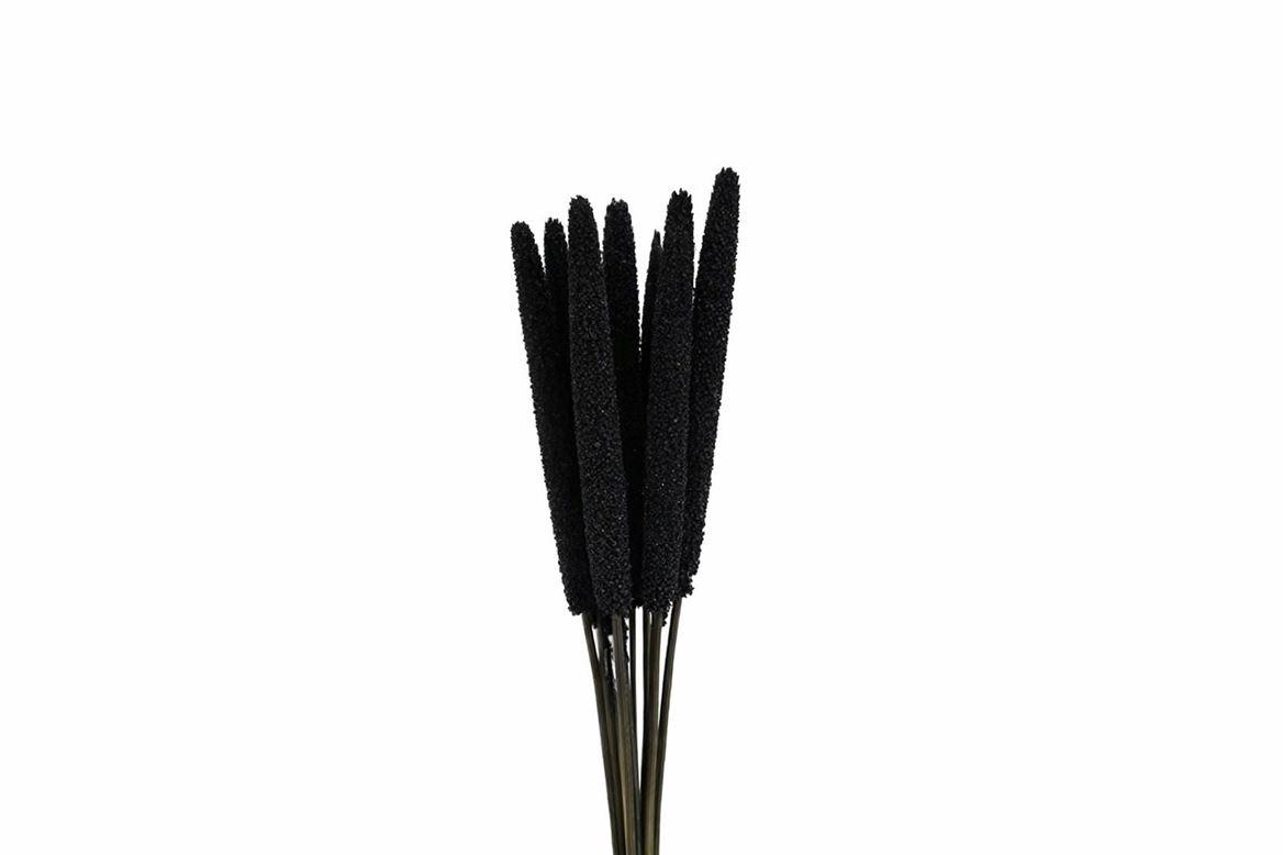 Dried Babala 10pc Black Bunch Slv