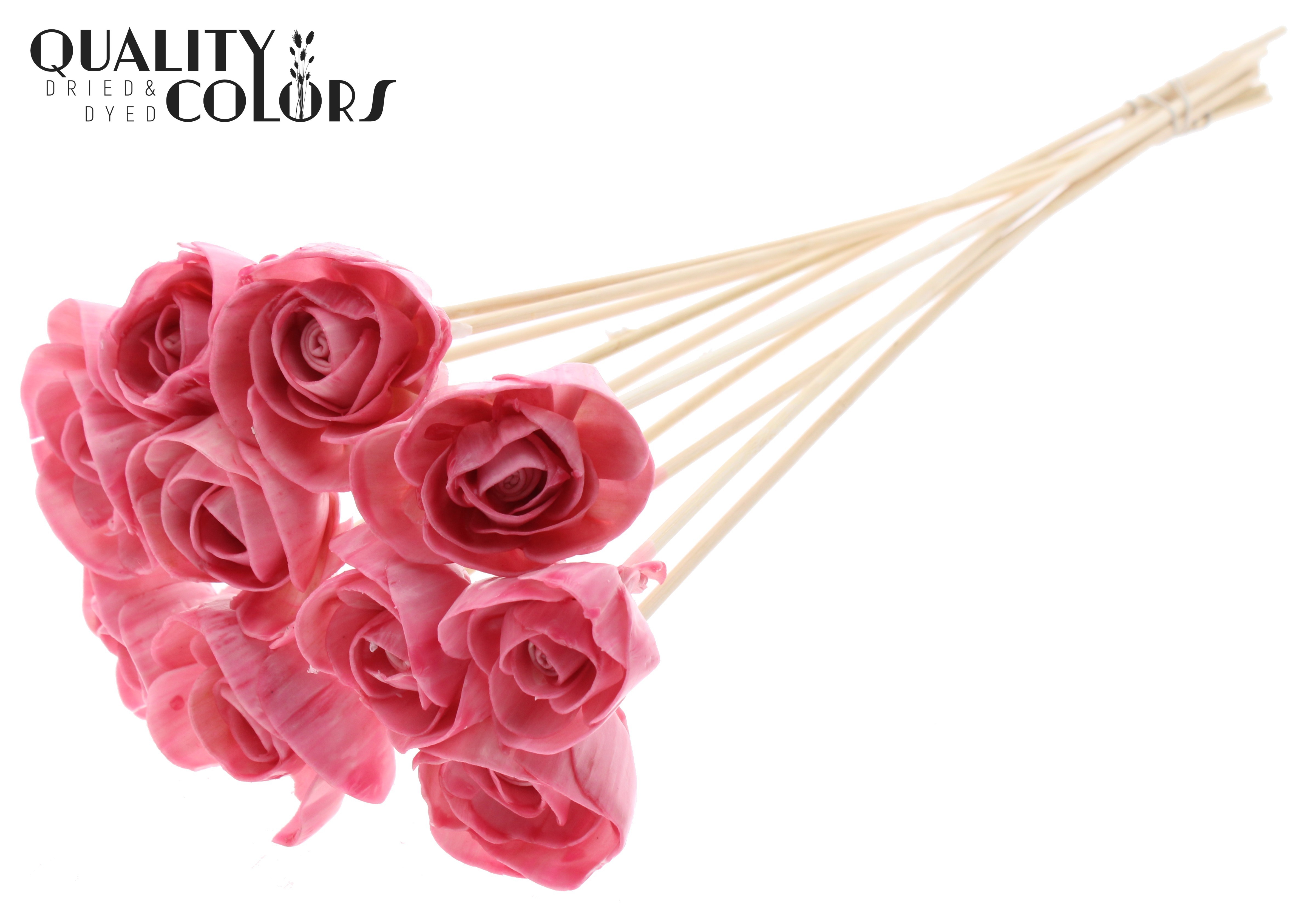 Shola Dear Holly Wax Light Pink 50cm