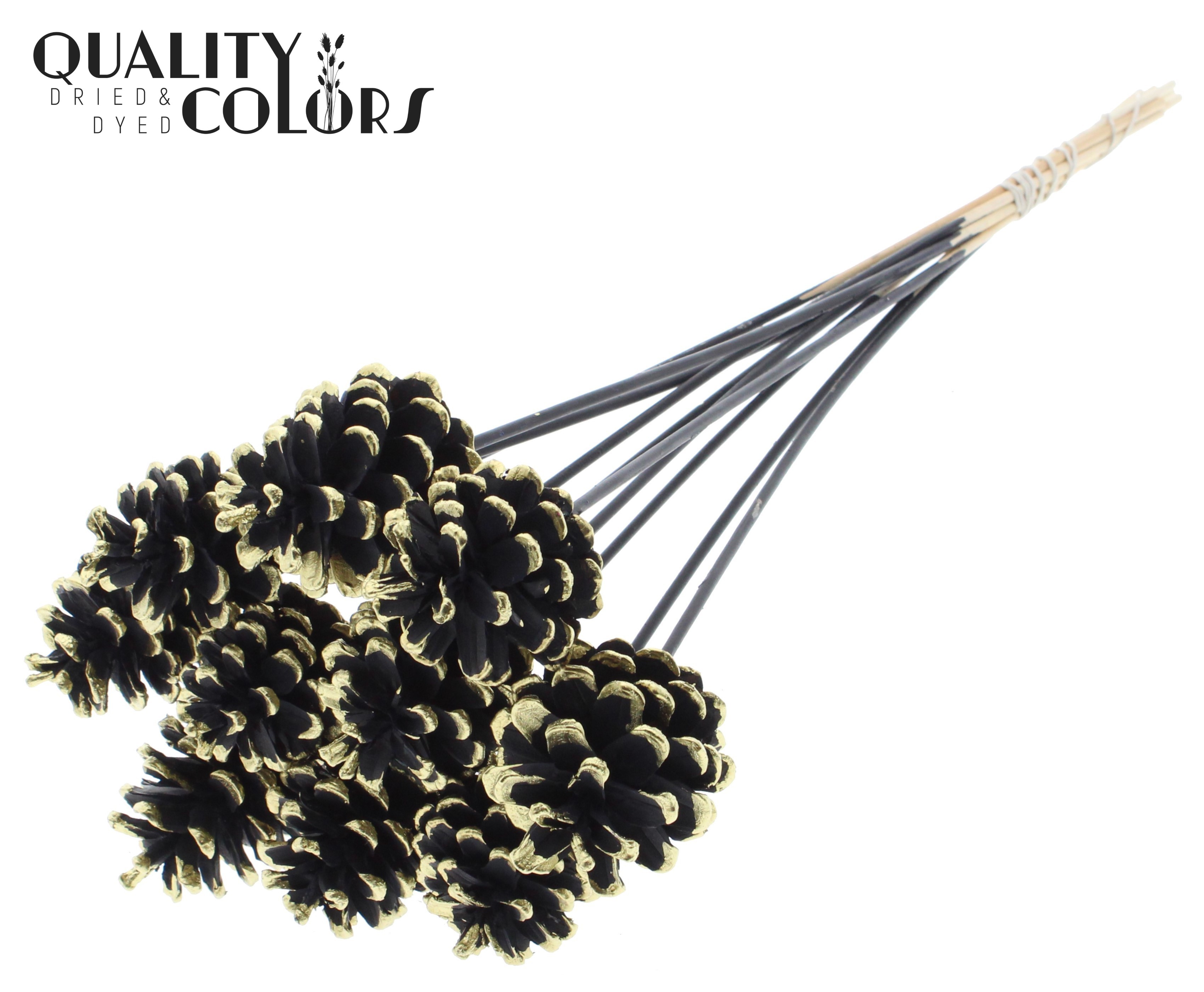 Pine Cone Black + Gold Tipped 50cm