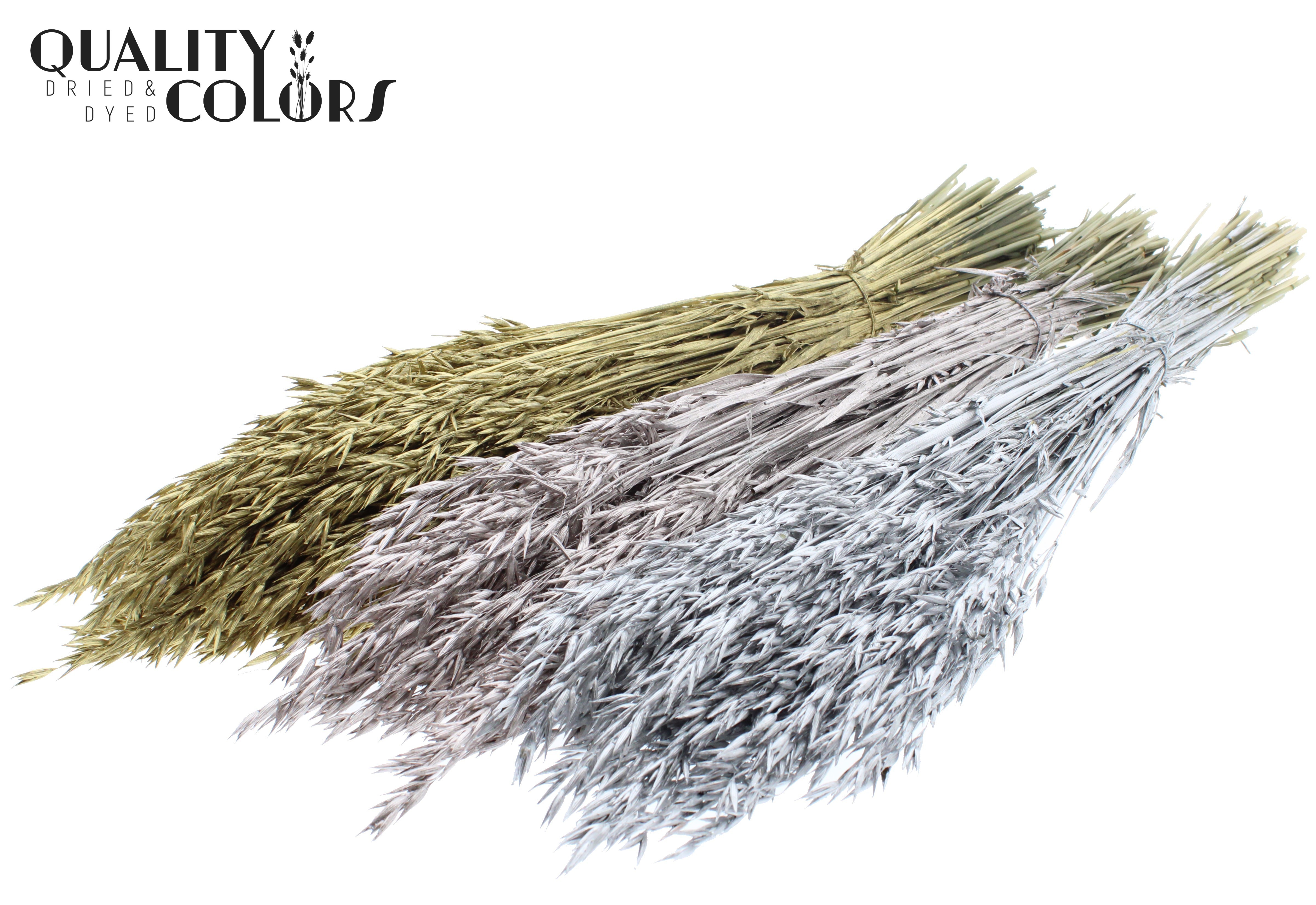 Avena Wedding Mix Per Bunch 60cm