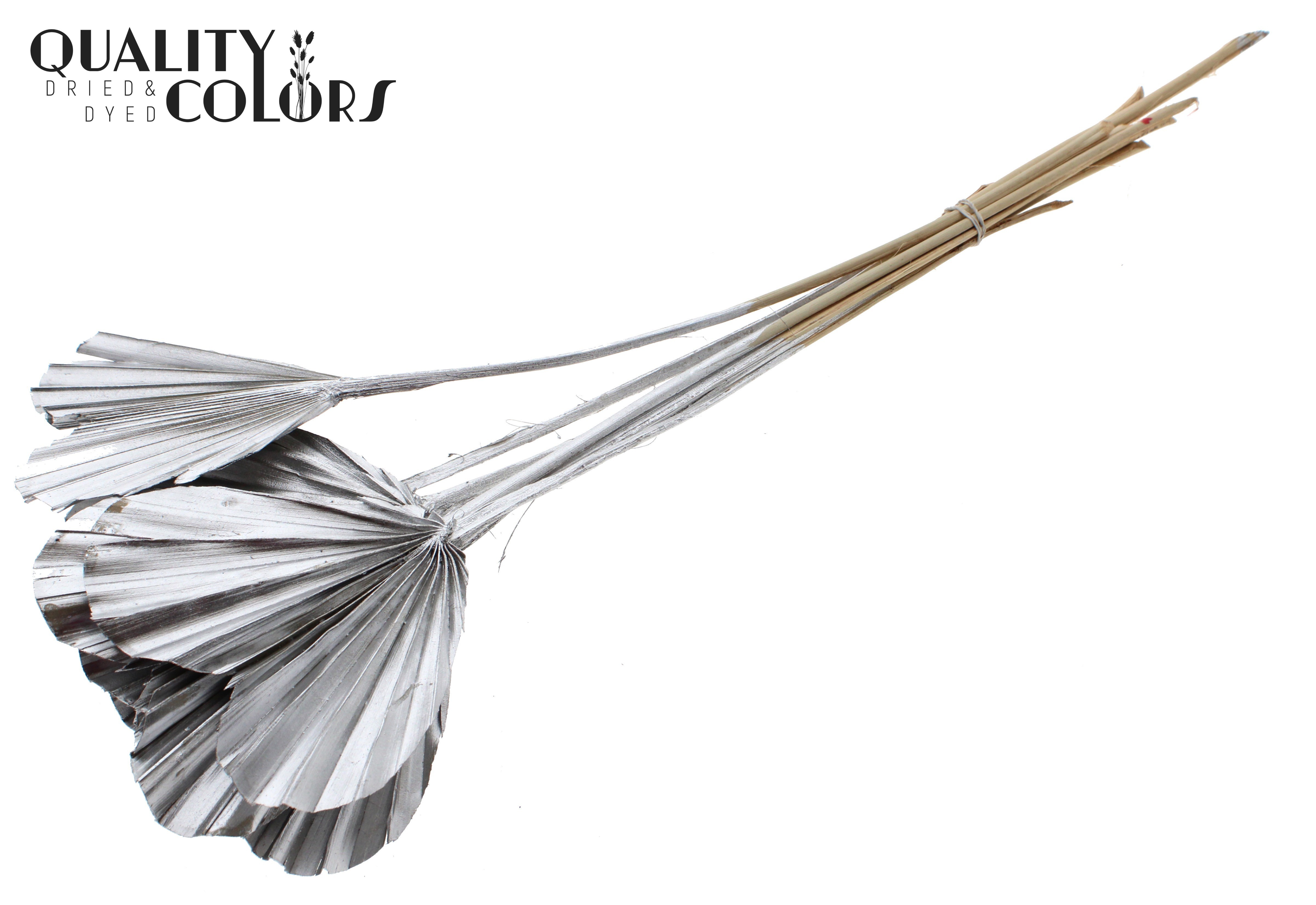Palm Spear Heart Silver 45cm