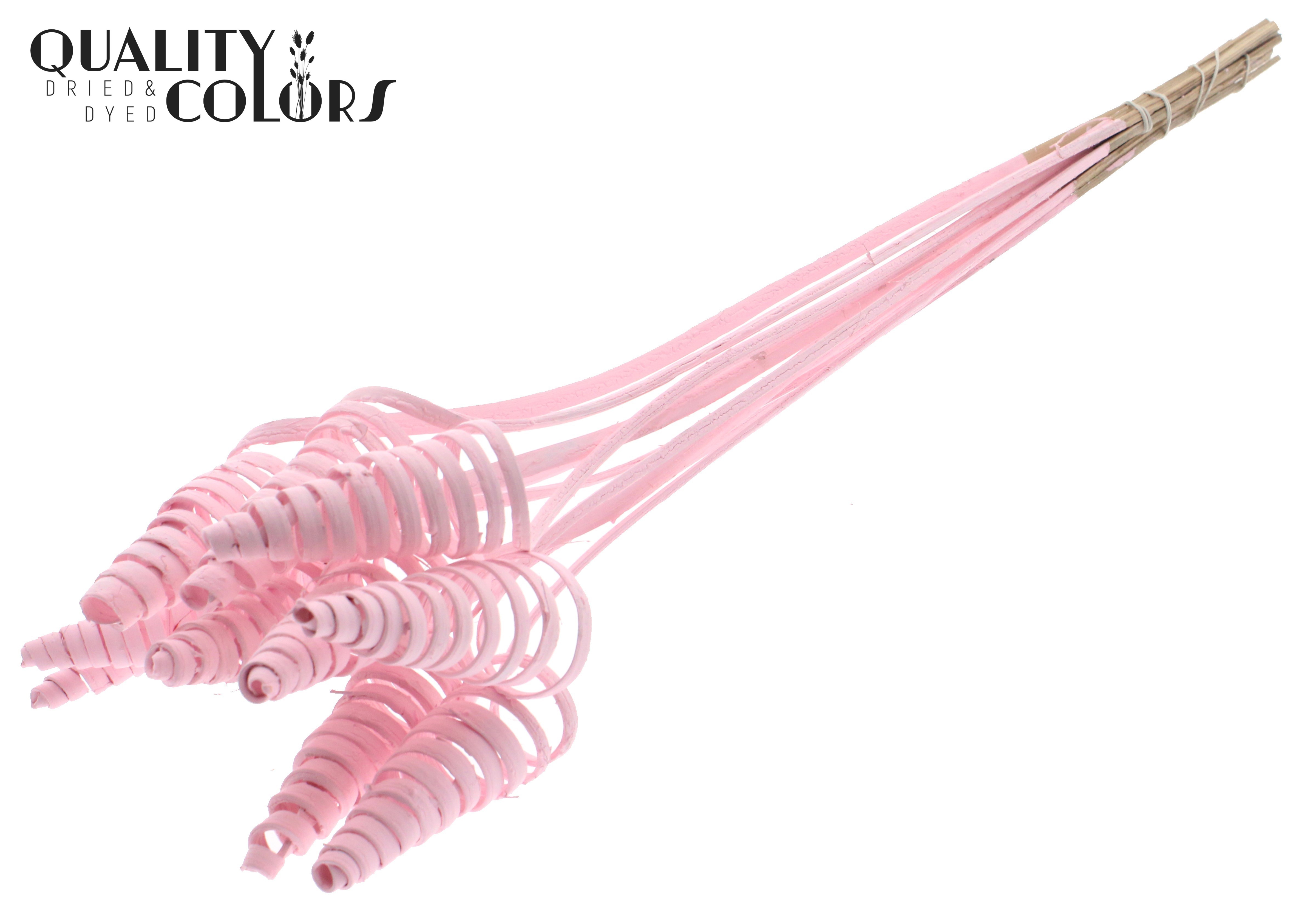 Cane Cone Light Pink 50cm