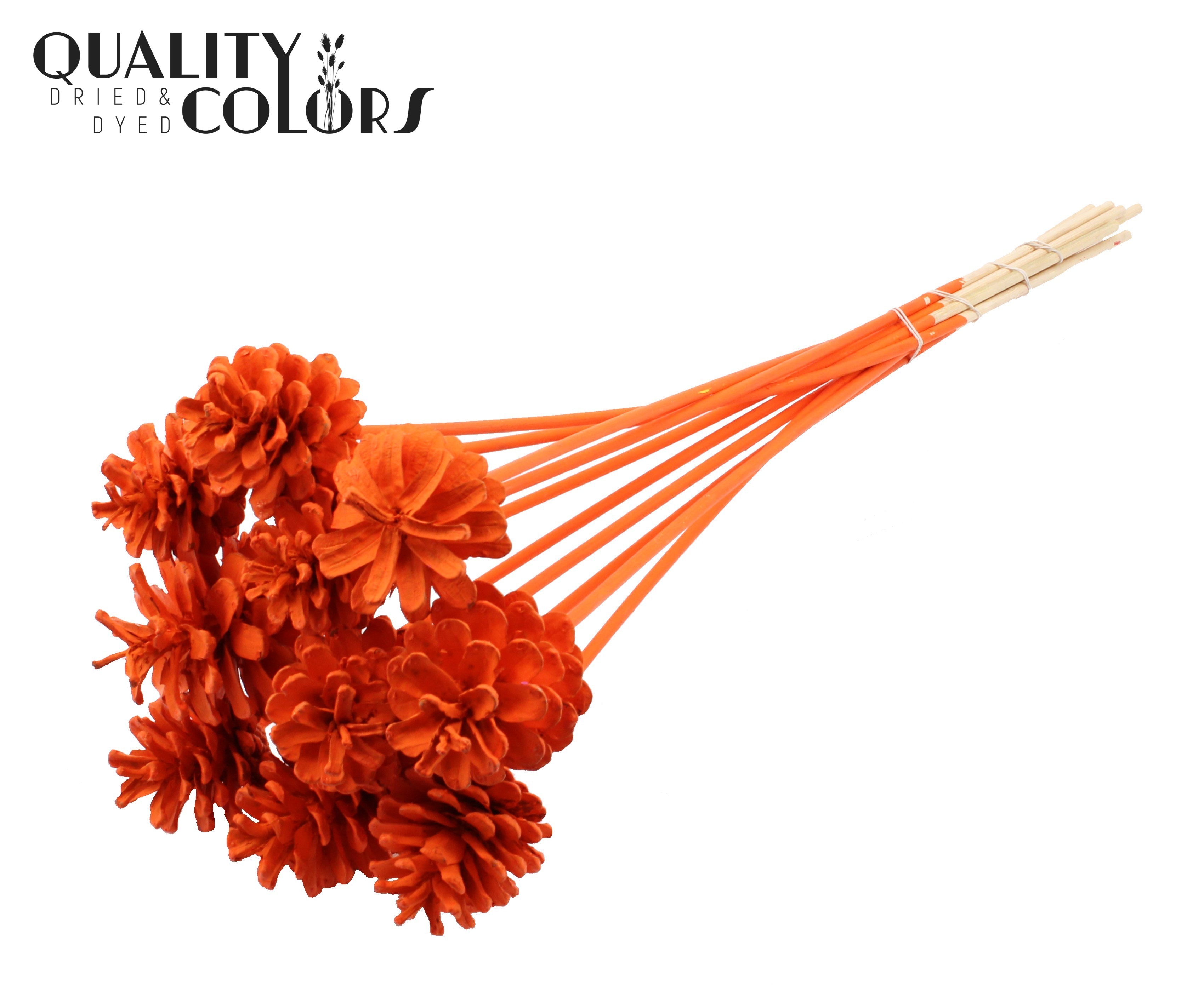 Pine Cone Orange 50cm
