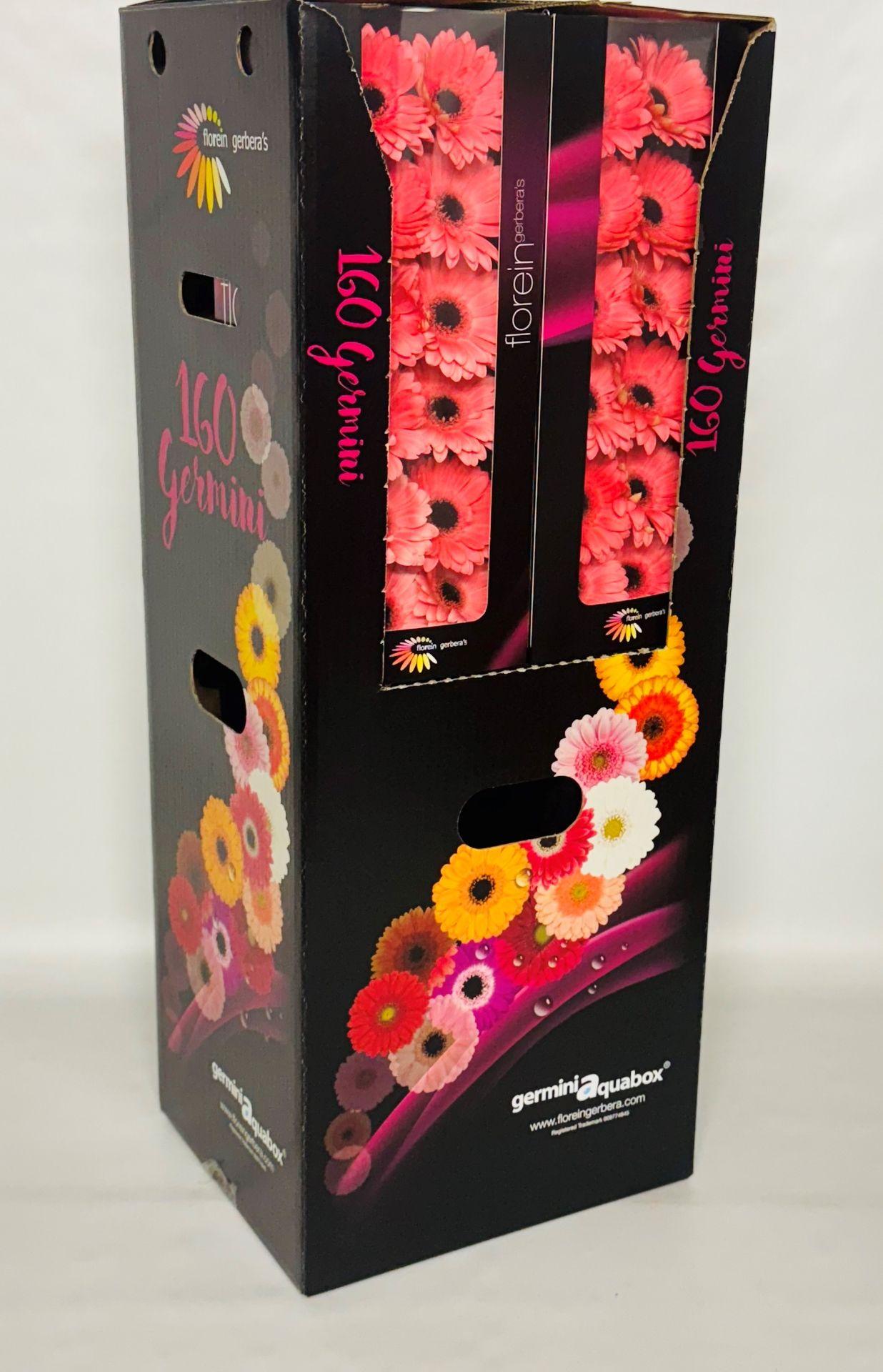 Ge Mi Jolie Aquabox *160
