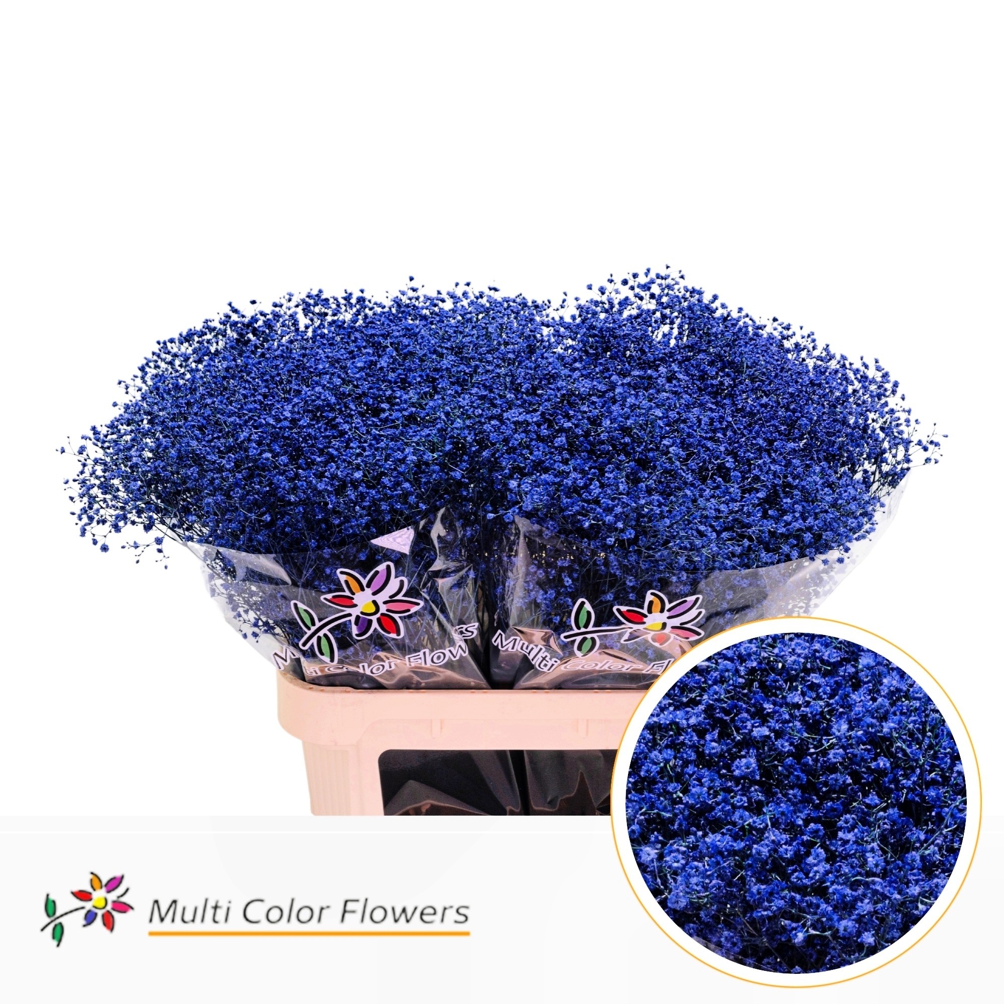 Gypsophila Painted Million Star Dark Blue 80cm