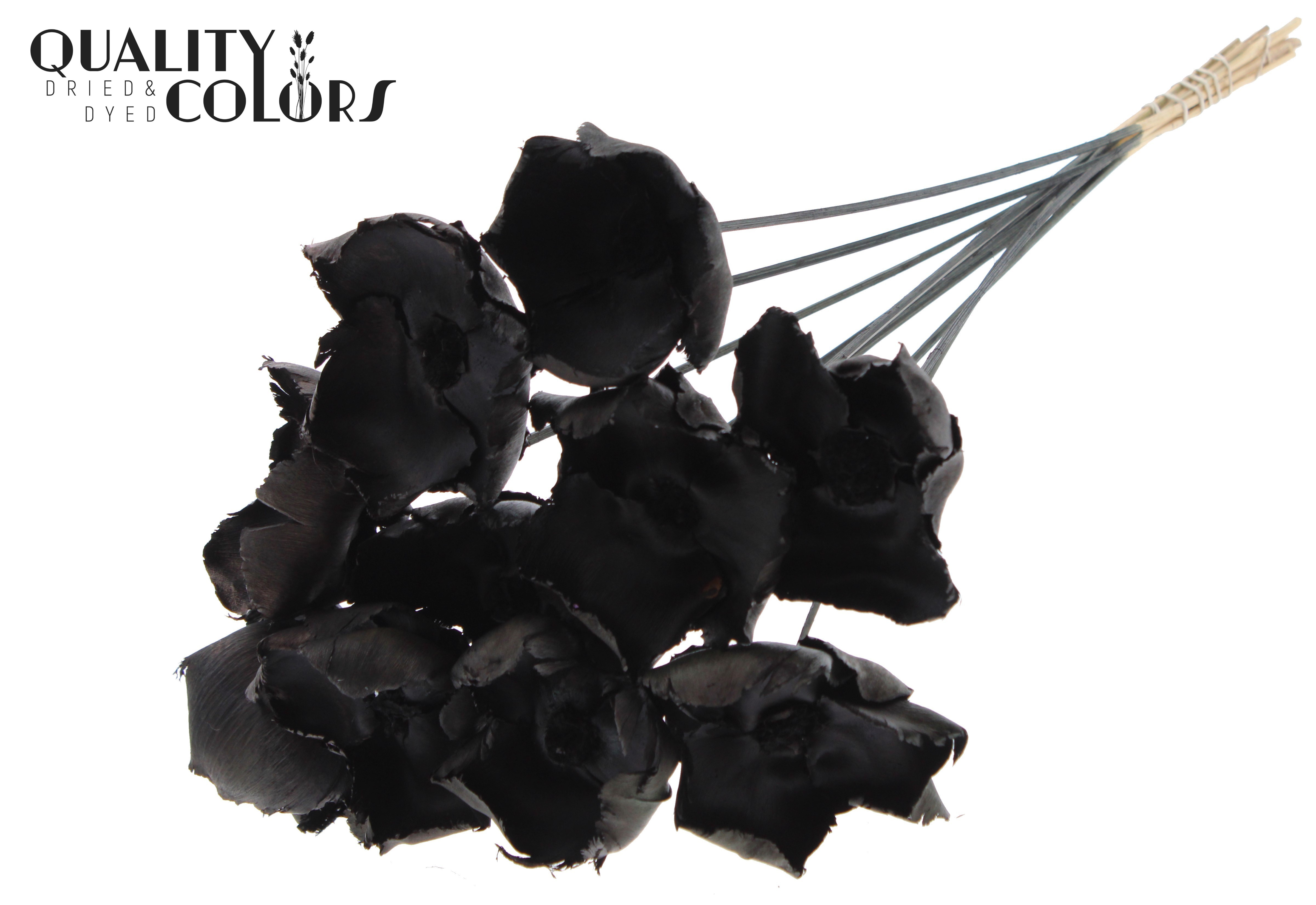 Palm Cup Black 50cm