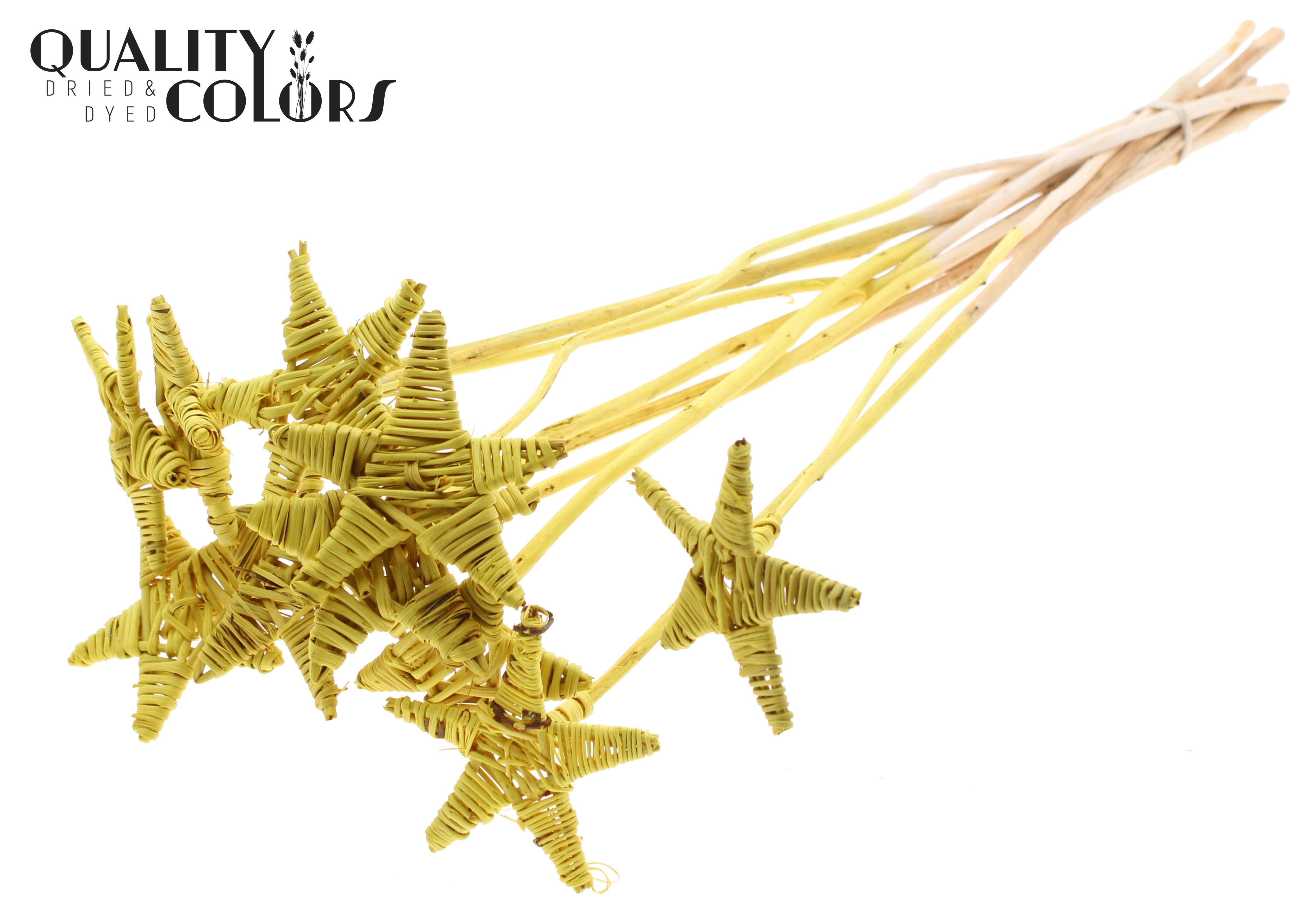 Lata Star Yellow 50cm
