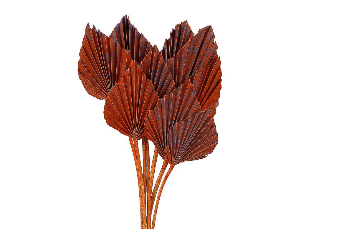 Dried Artz Palm Spear 10pc Mondriaan Bunch