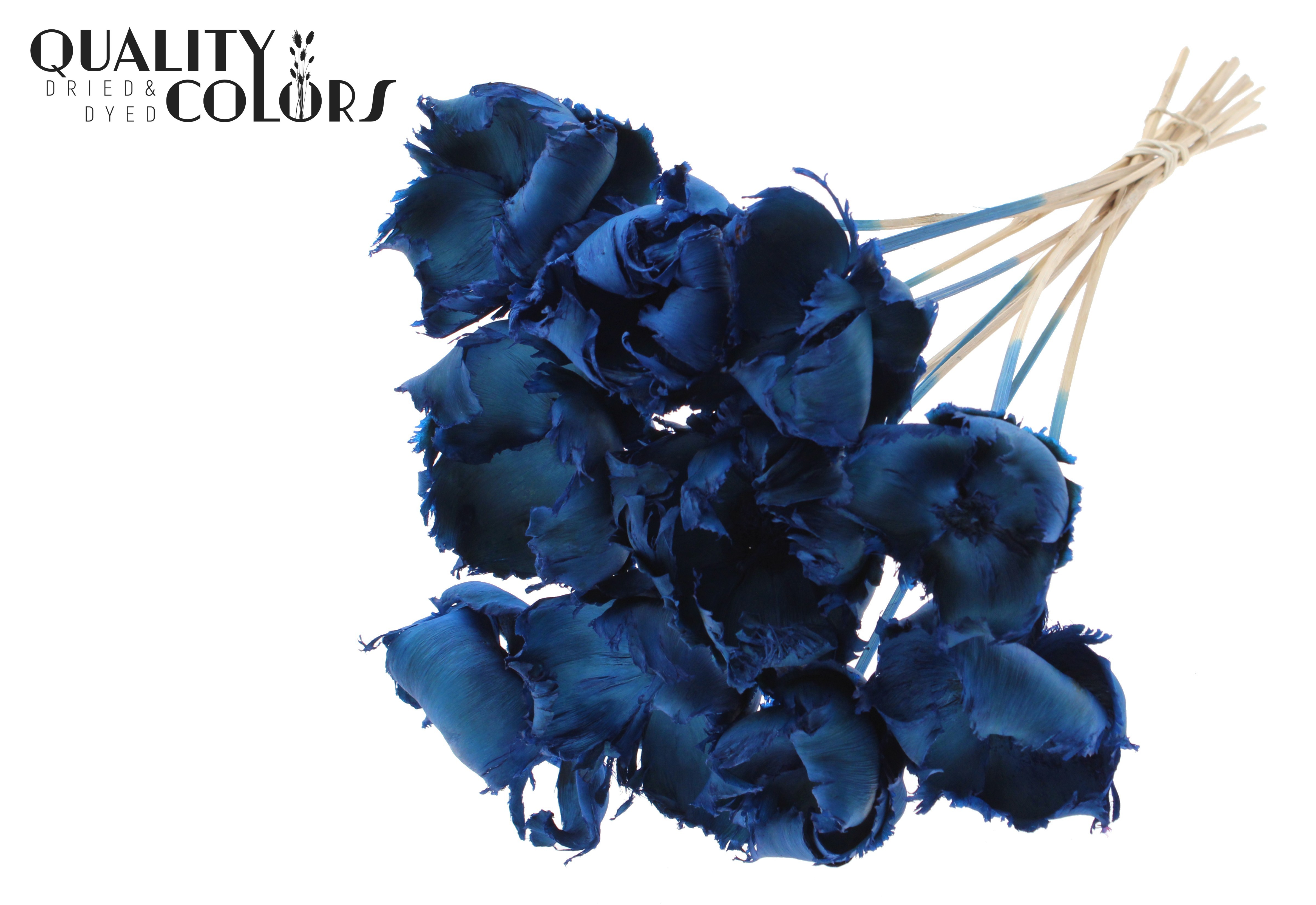 Palm Cup Intense Blue 50cm