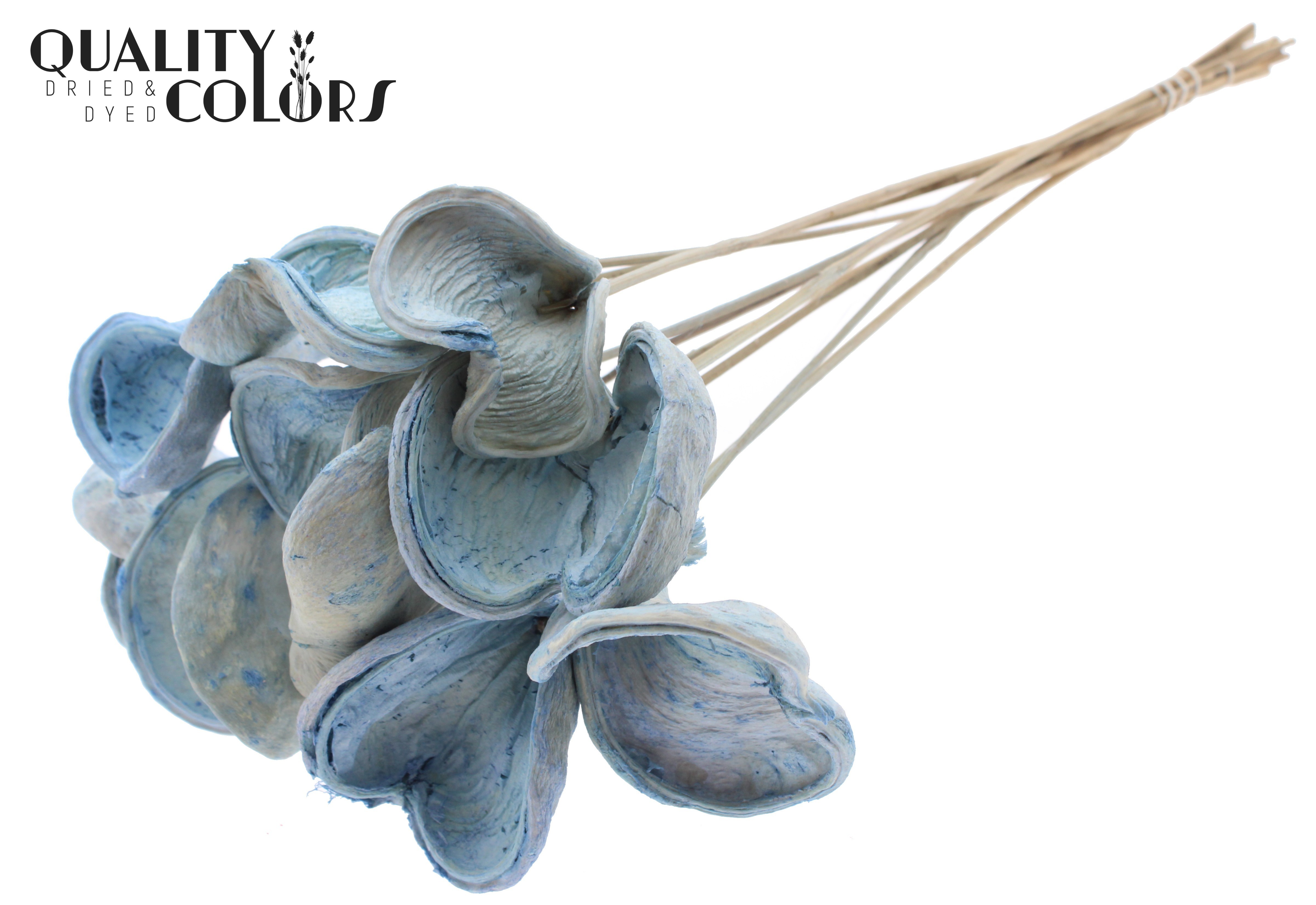 Badam Intense Light Blue 50cm