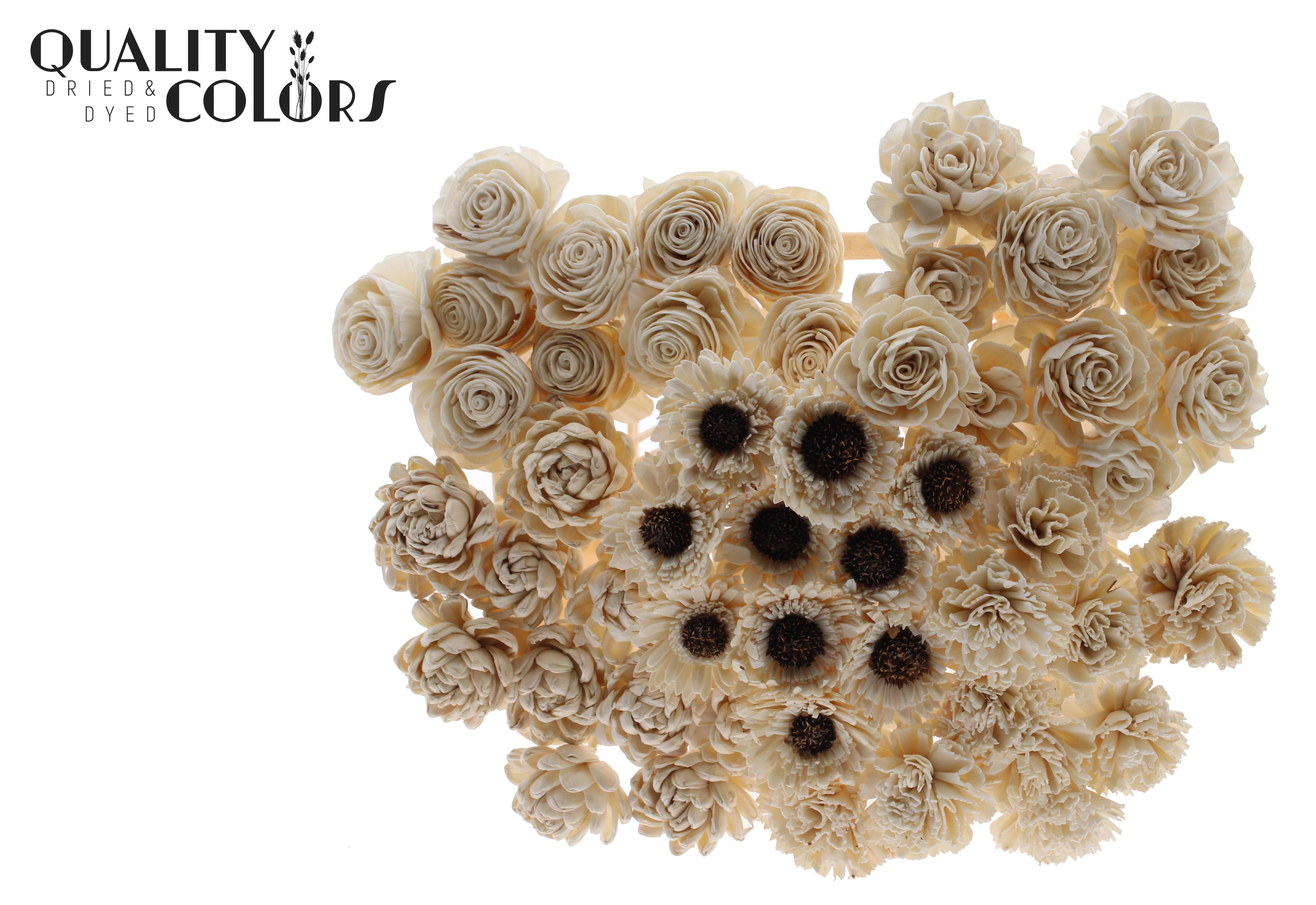 Shola Mix Natural 50cm