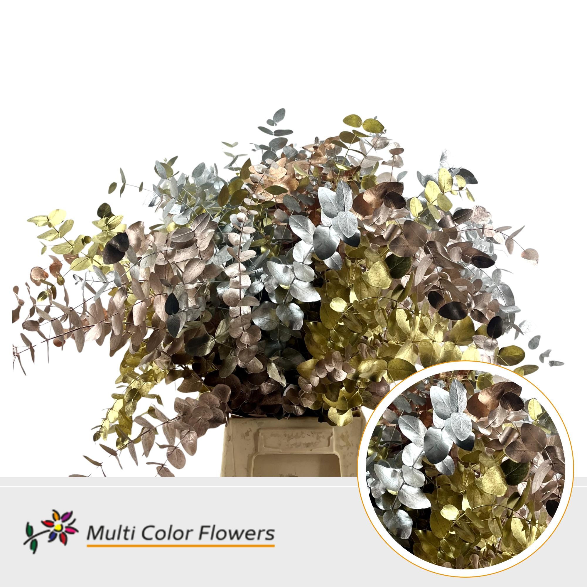 Eucalyptus Cinerea Metallic Mix
