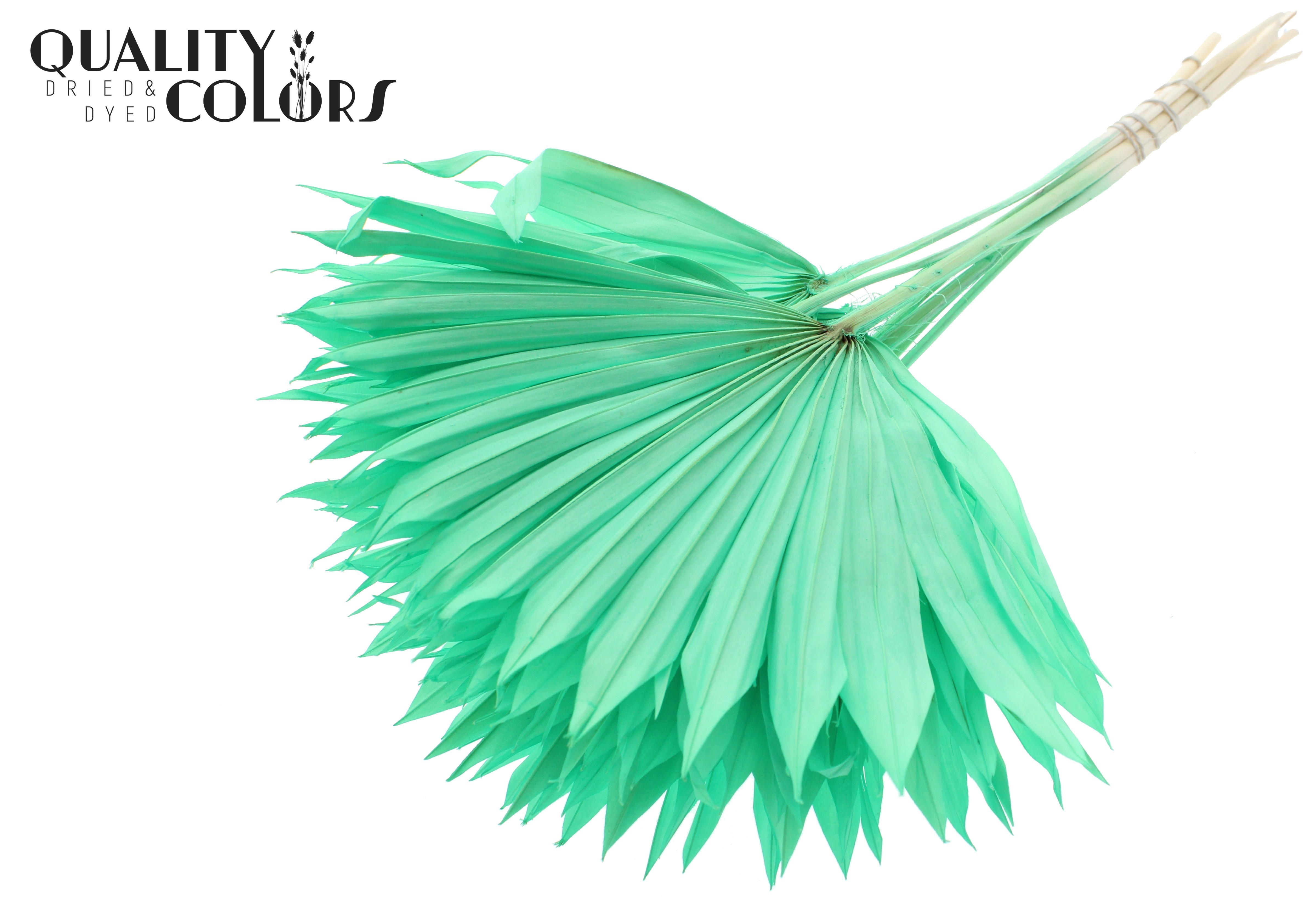 Palm Sun Intense Mint Green 50cm