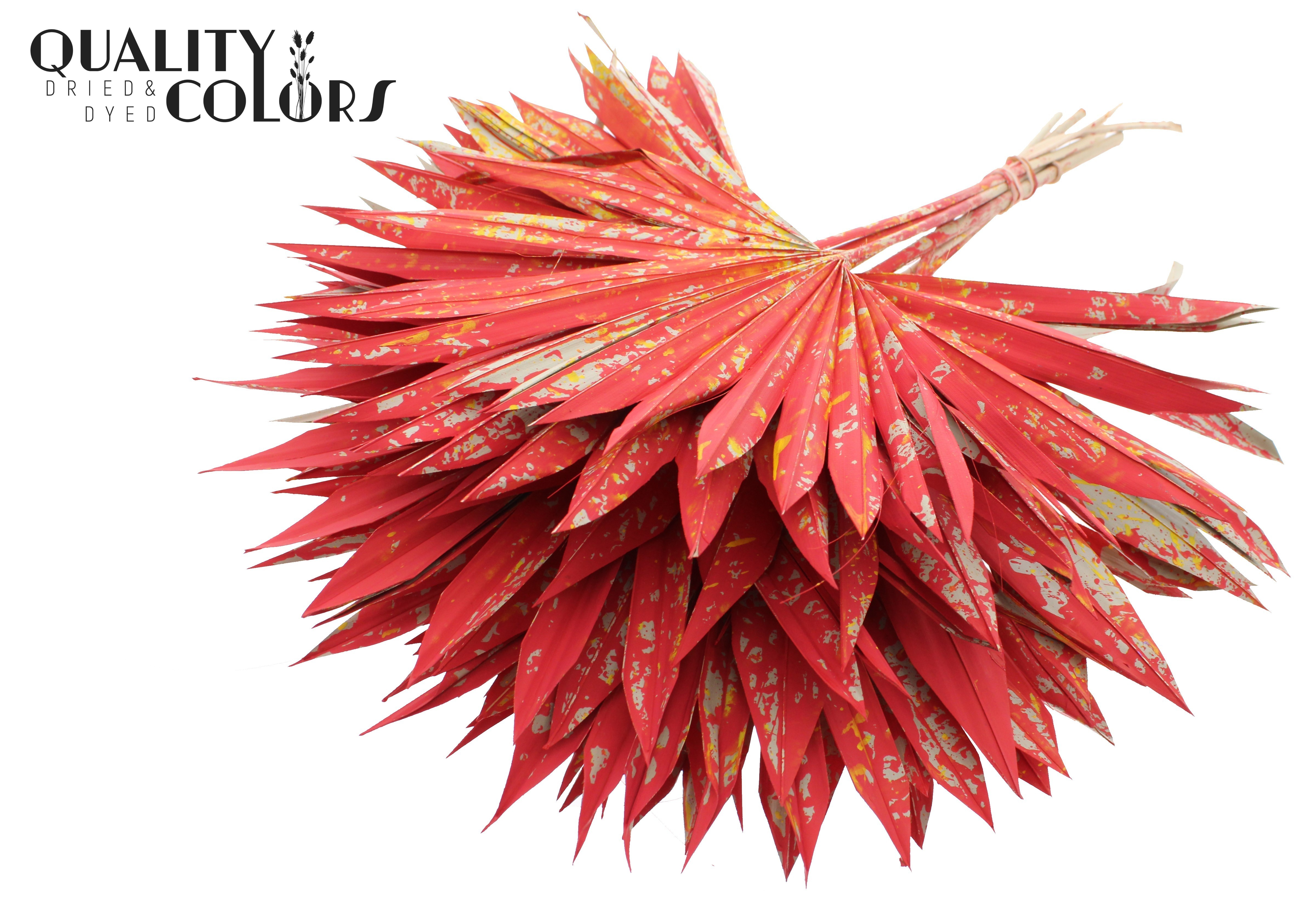 Palm Sun Multicolour Red 50cm