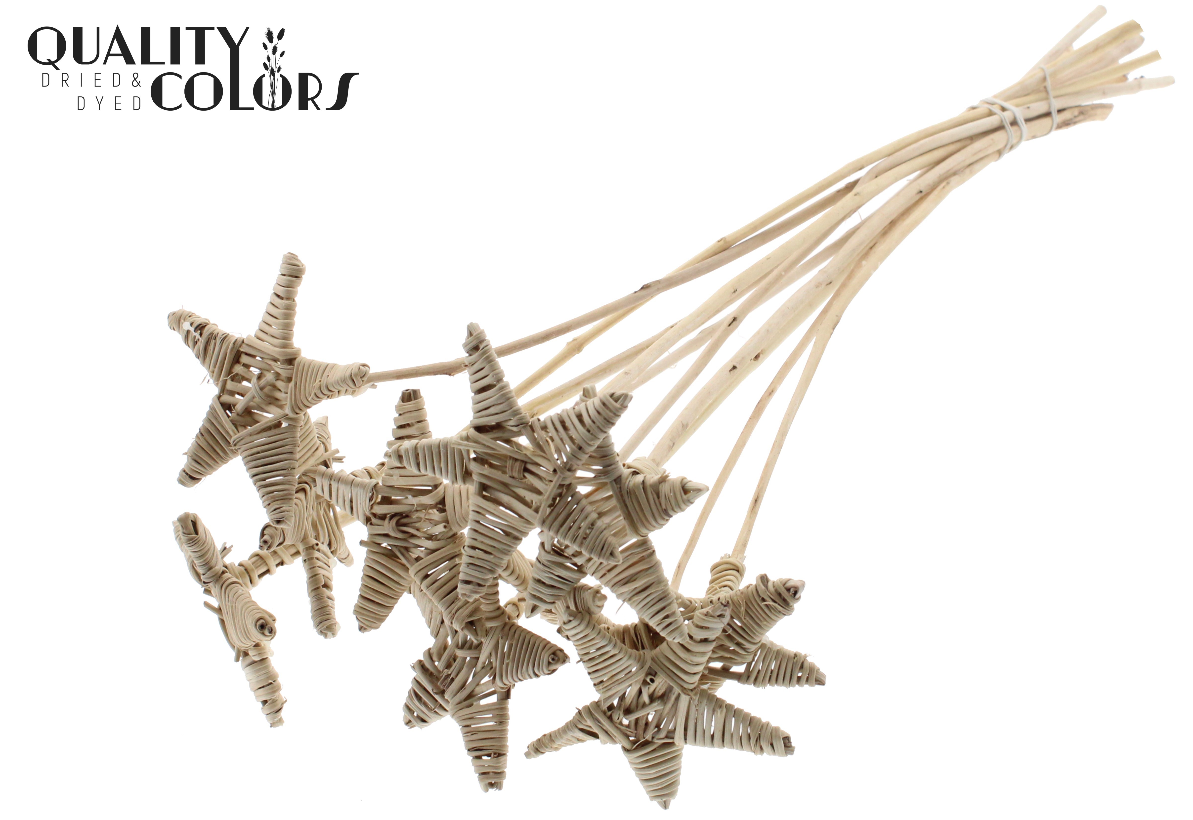 Lata Star Natural 50cm
