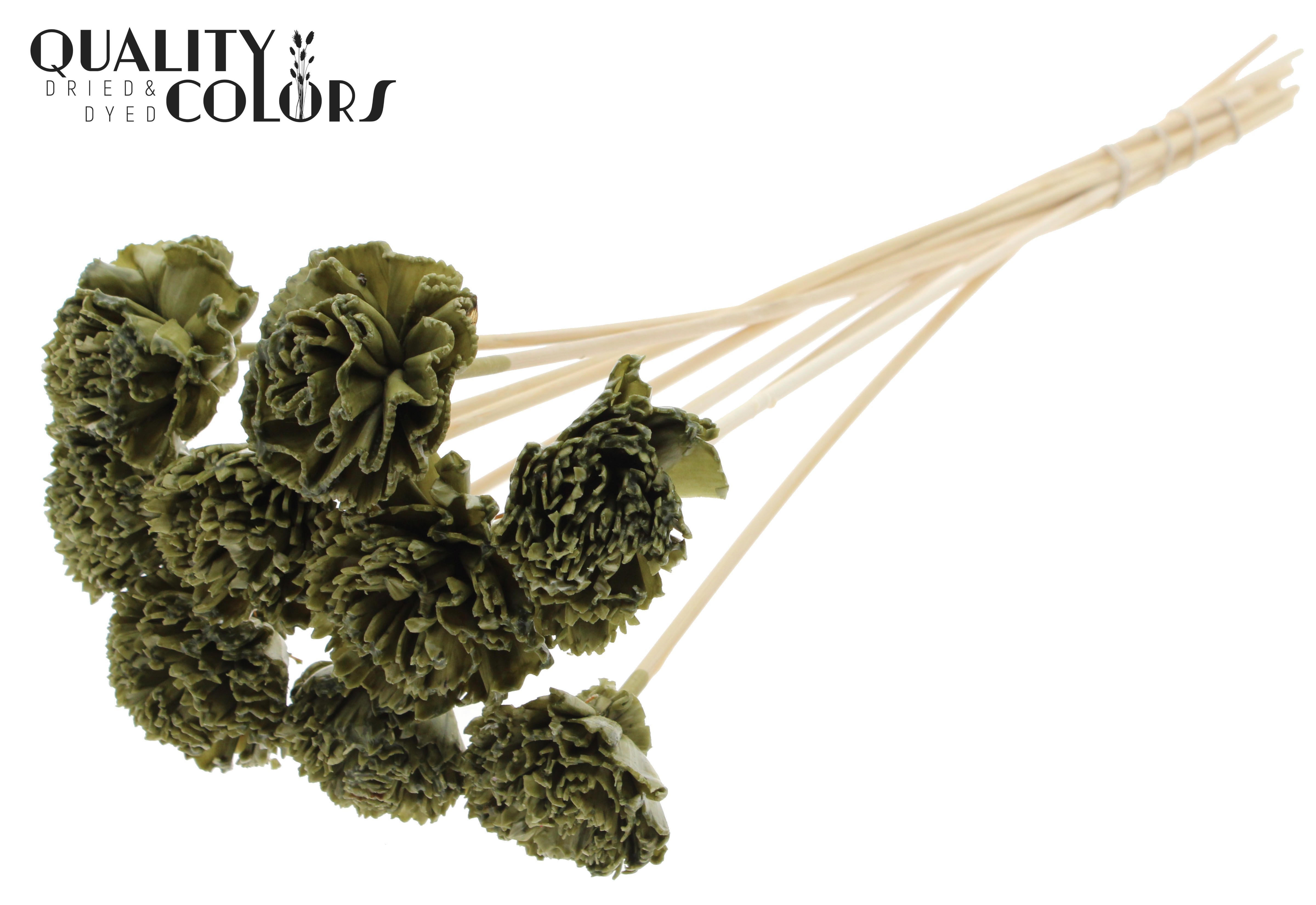 Shola Karnish Flower Wax Olive 50cm