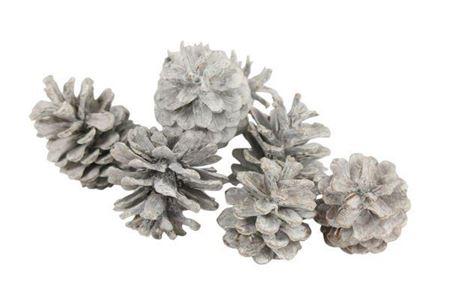 Pinecone Oostenrijker 10kg White Wash