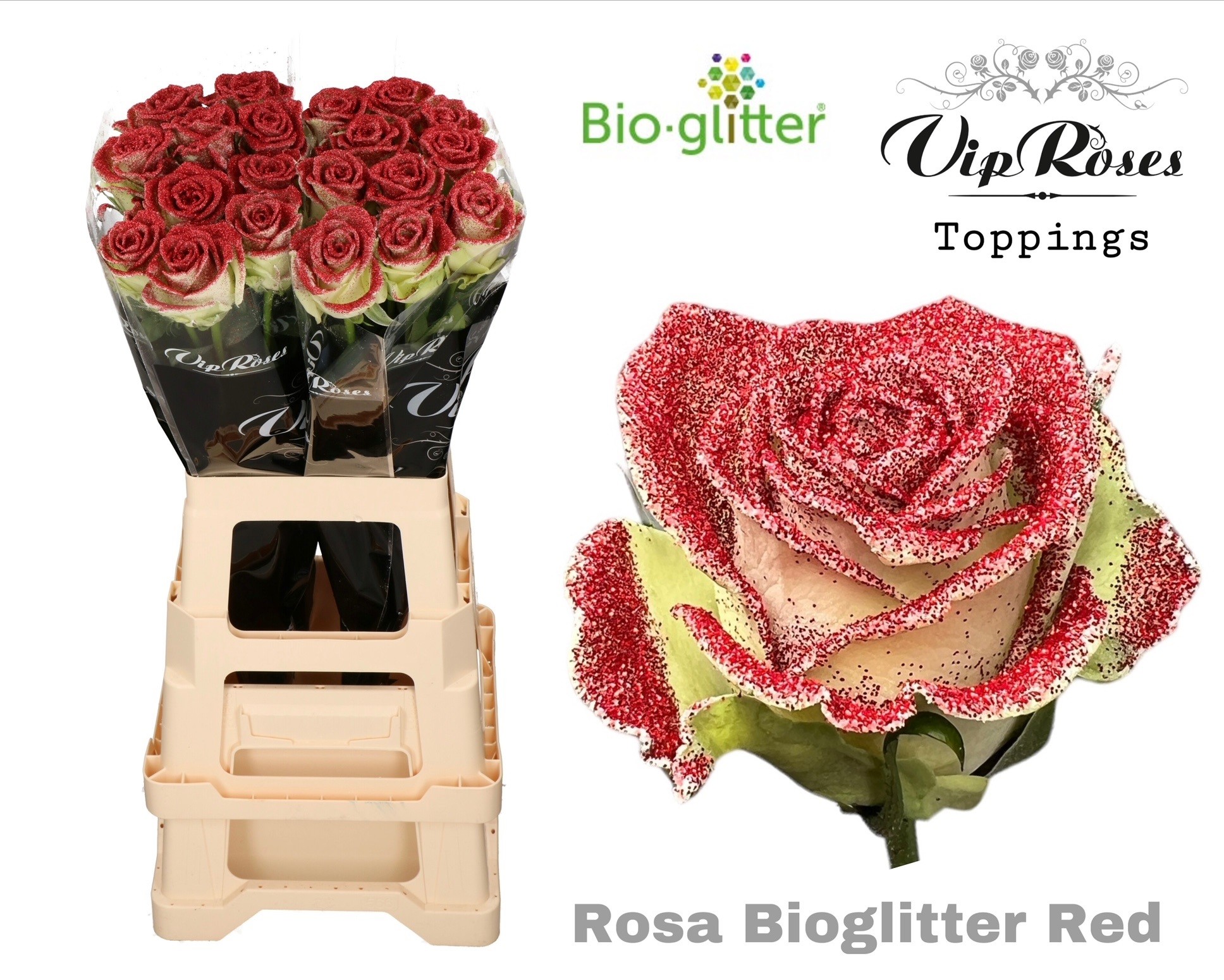 Rosa Painted 70cm