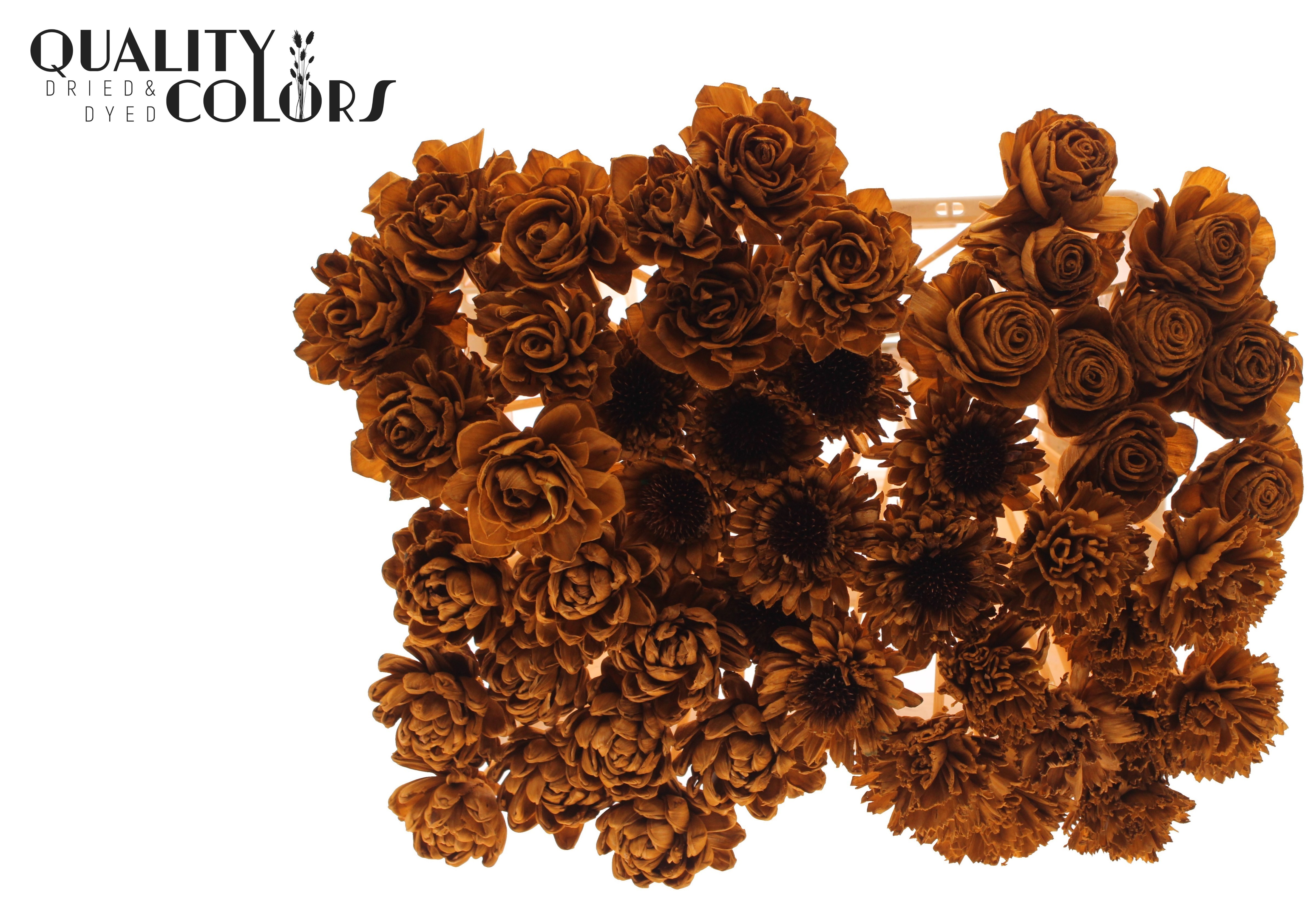 Shola Mix Terracotta 50cm