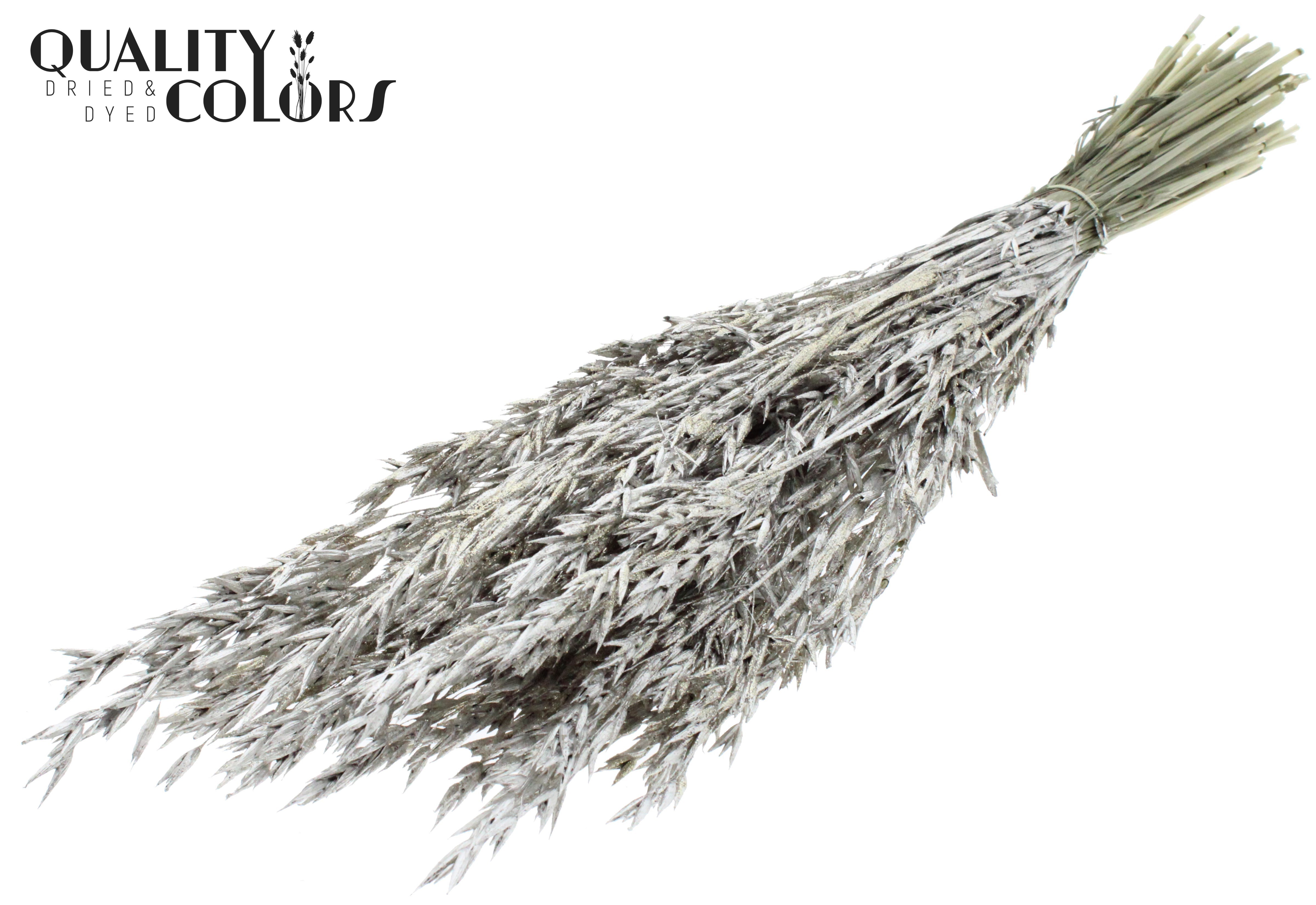 Avena Platinum + Glitter Per Bunch 60cm