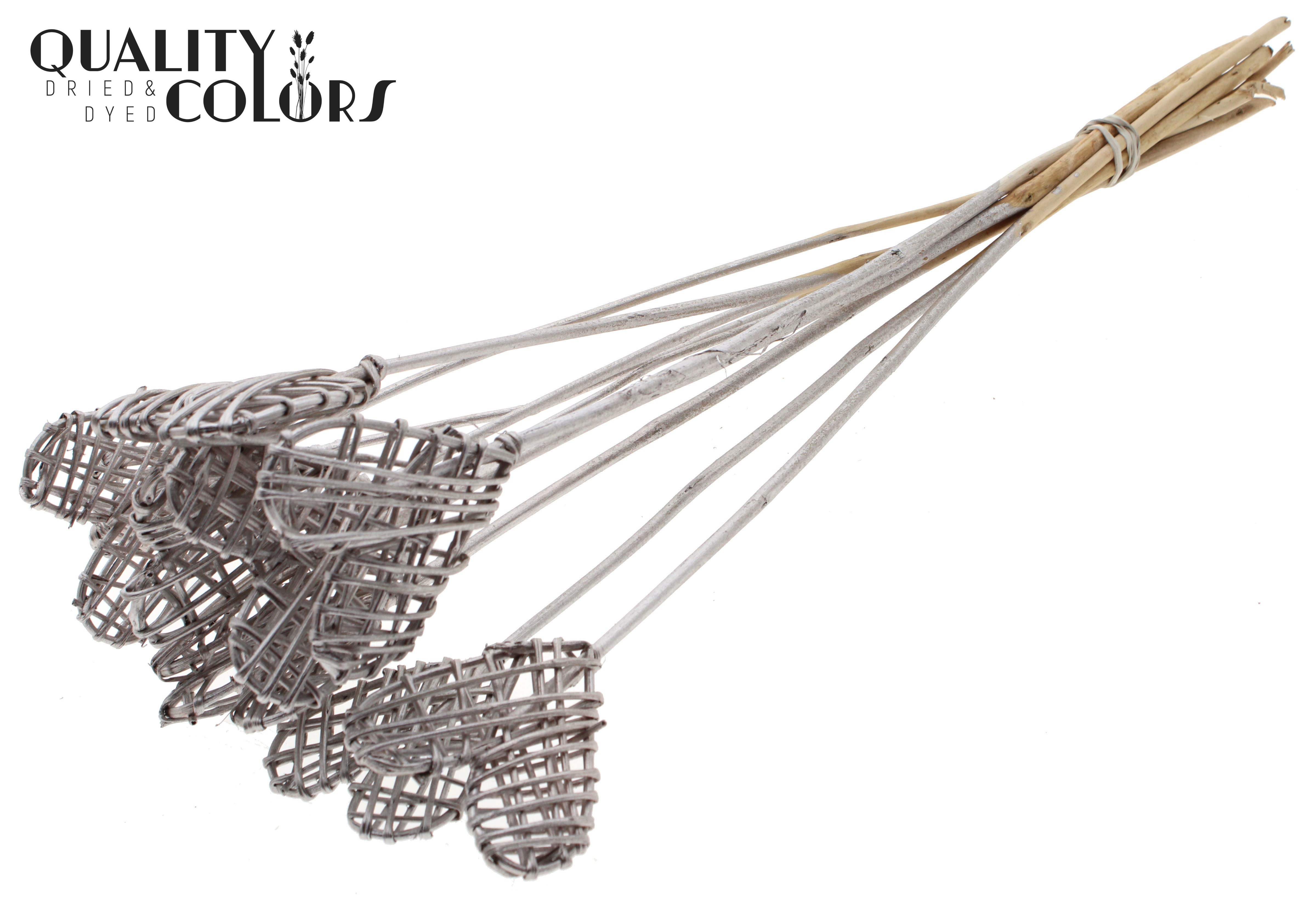 Lata Heart Champagne 50cm