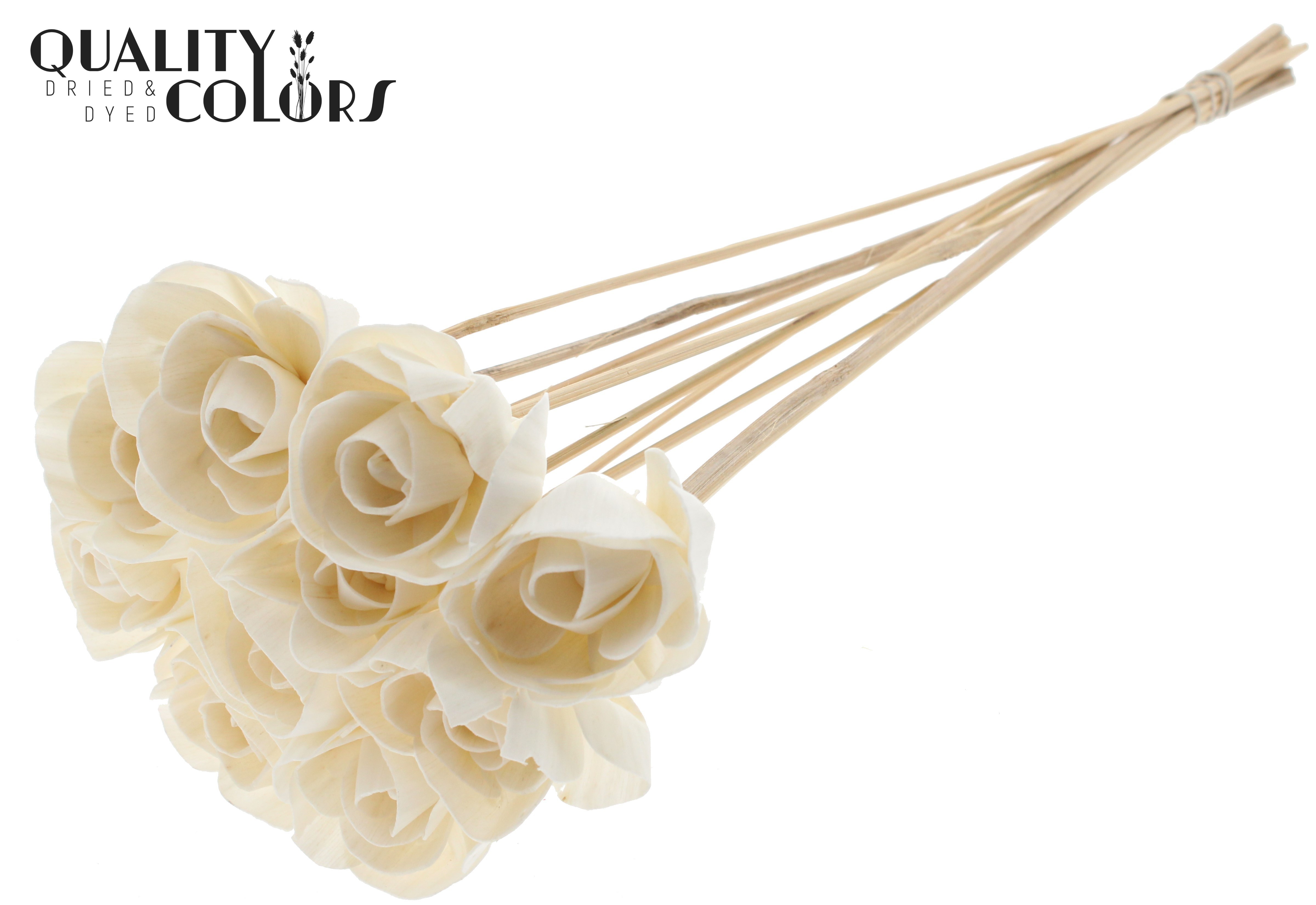 Shola Dear Holly Natural 50cm