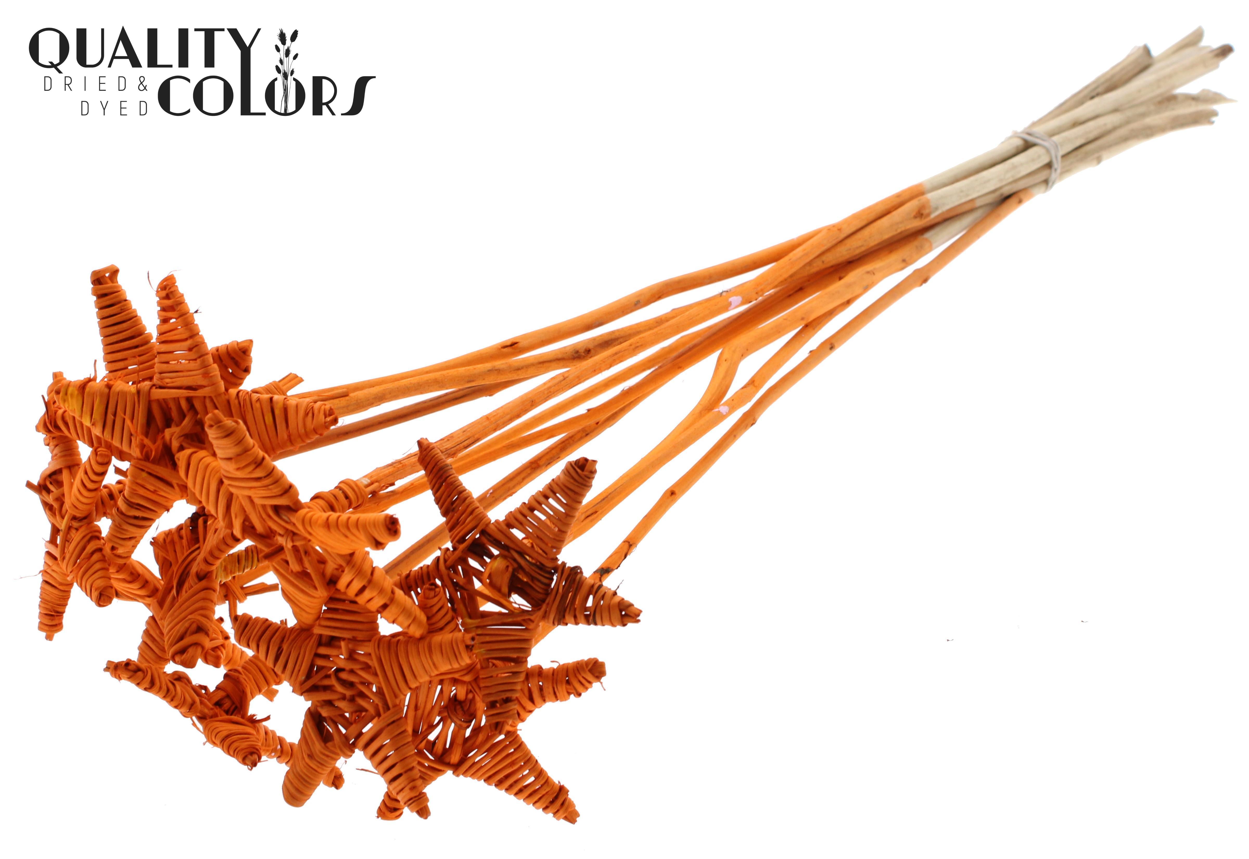 Lata Star Orange 50cm