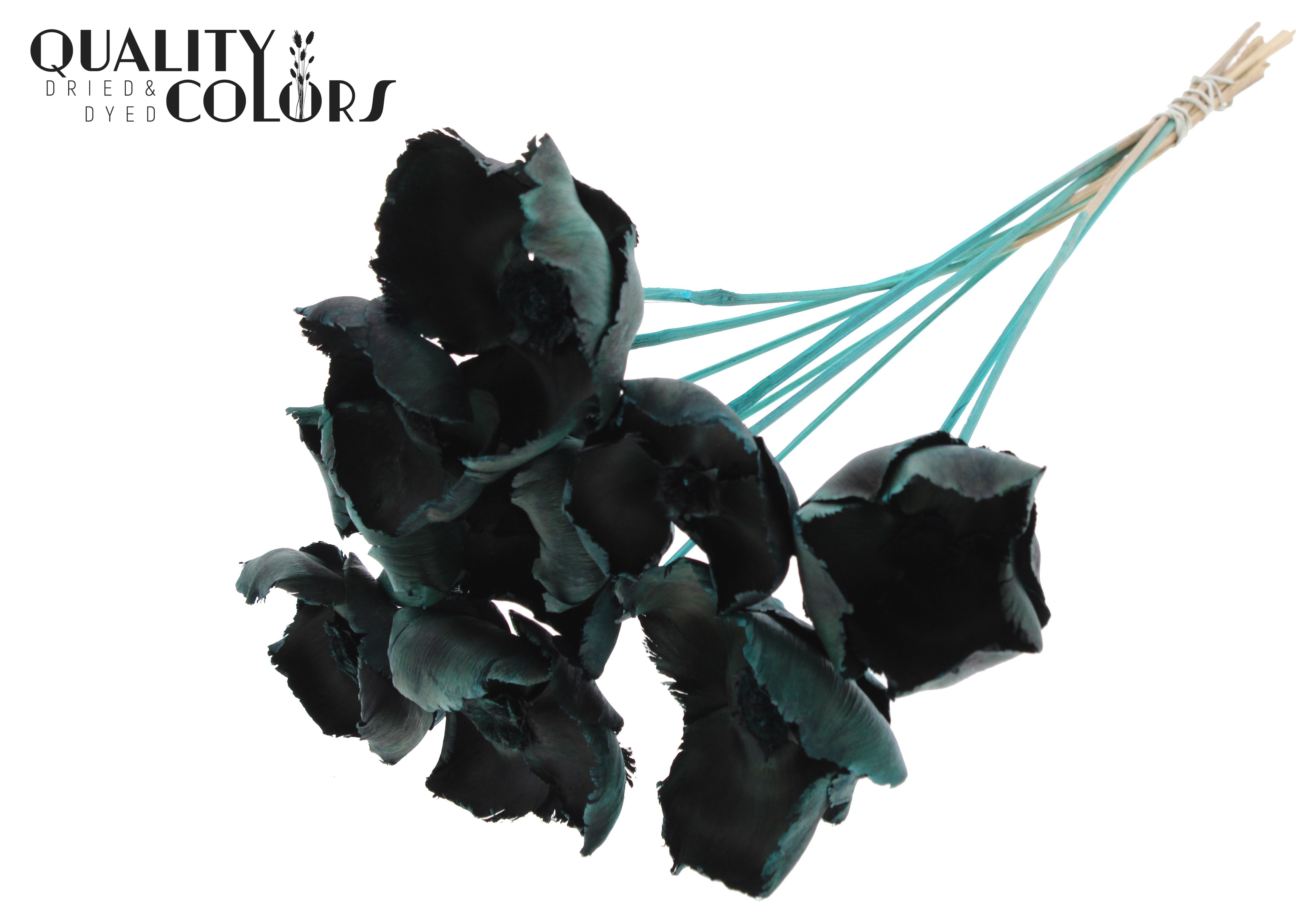 Palm Cup Turquoise 50cm