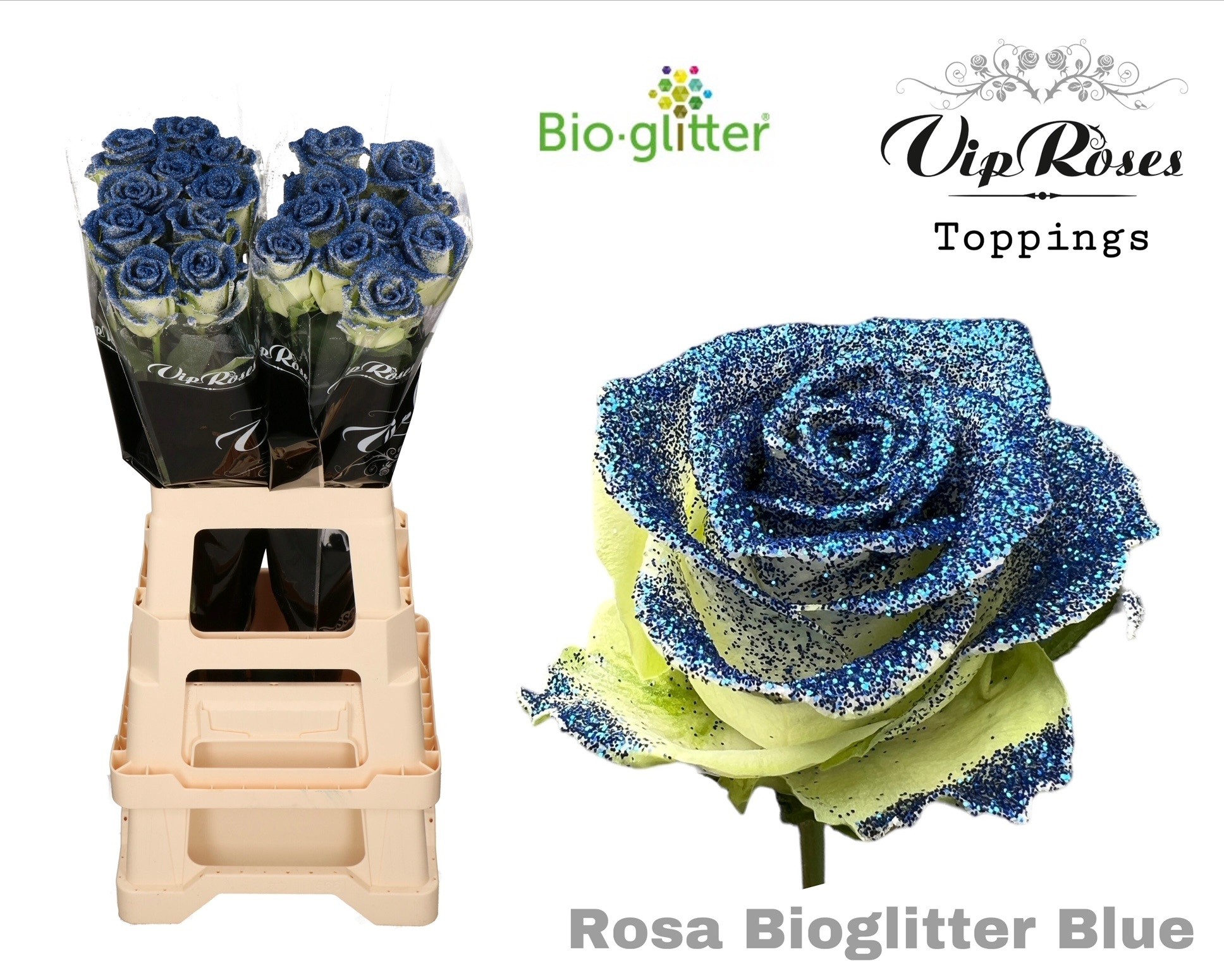 R Gr Bio Glitter Blue X20