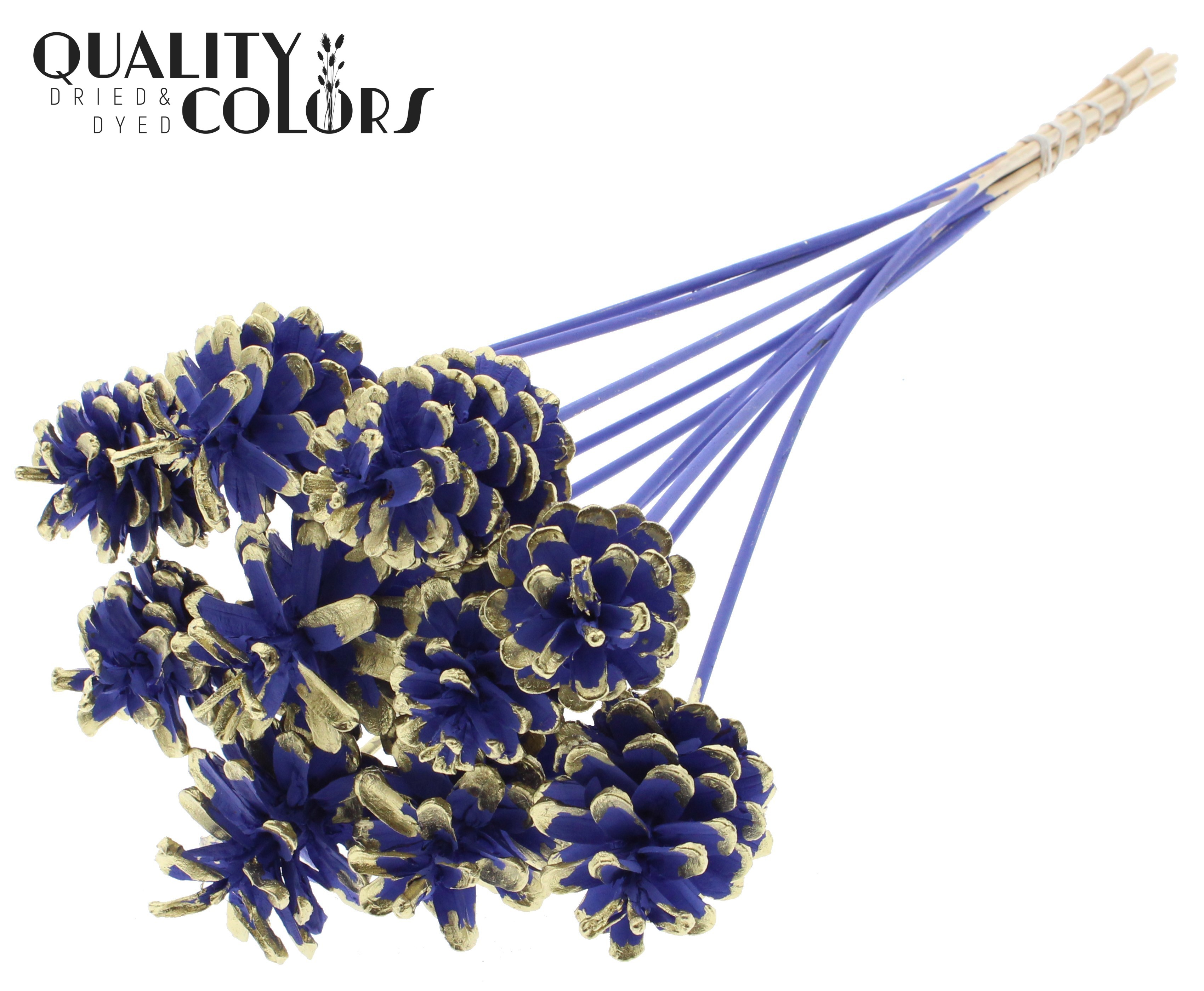 Pine Cone Milka + Gold Tipped 50cm