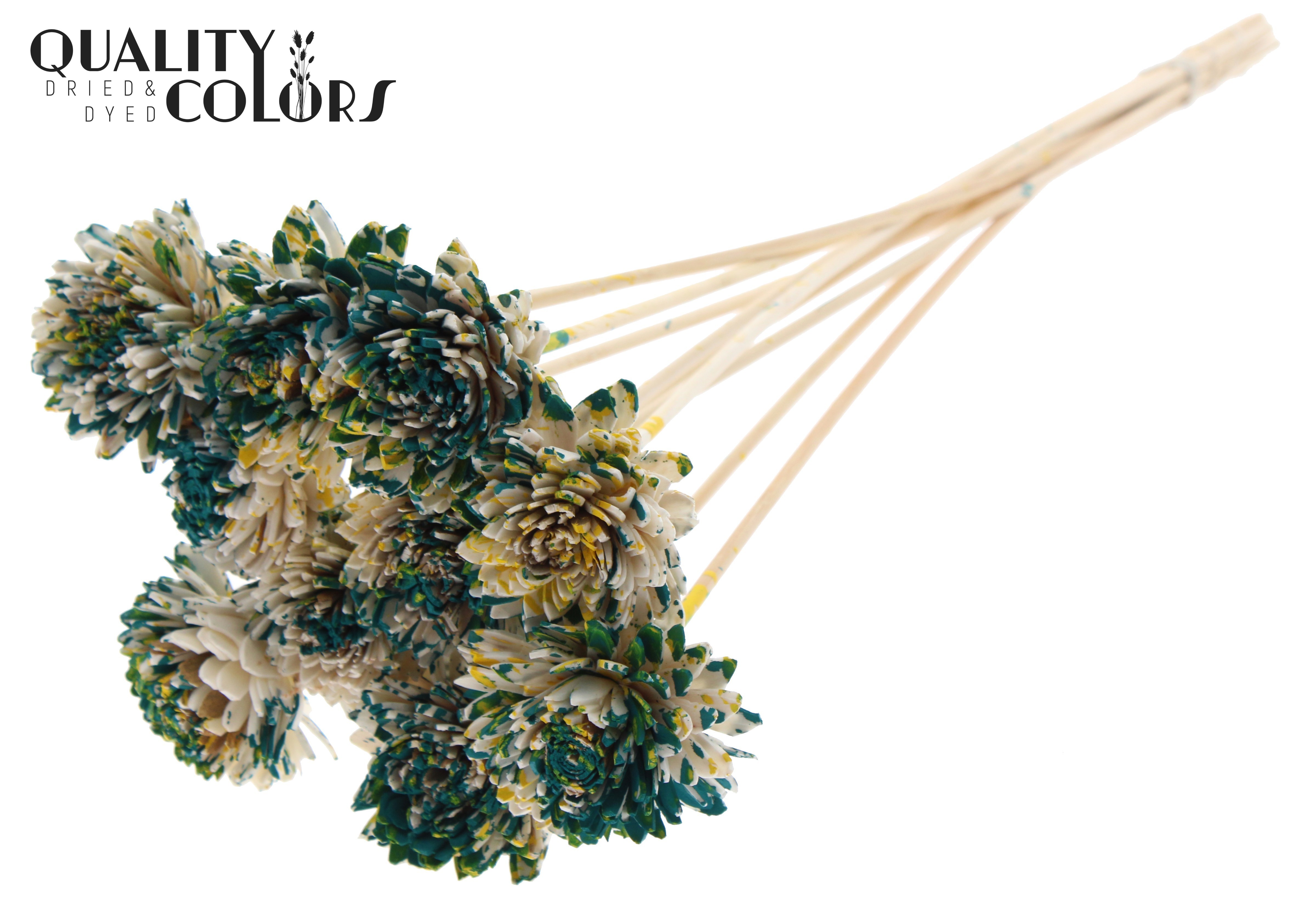 Shola Zinia Multicolour Green Yellow 50cm