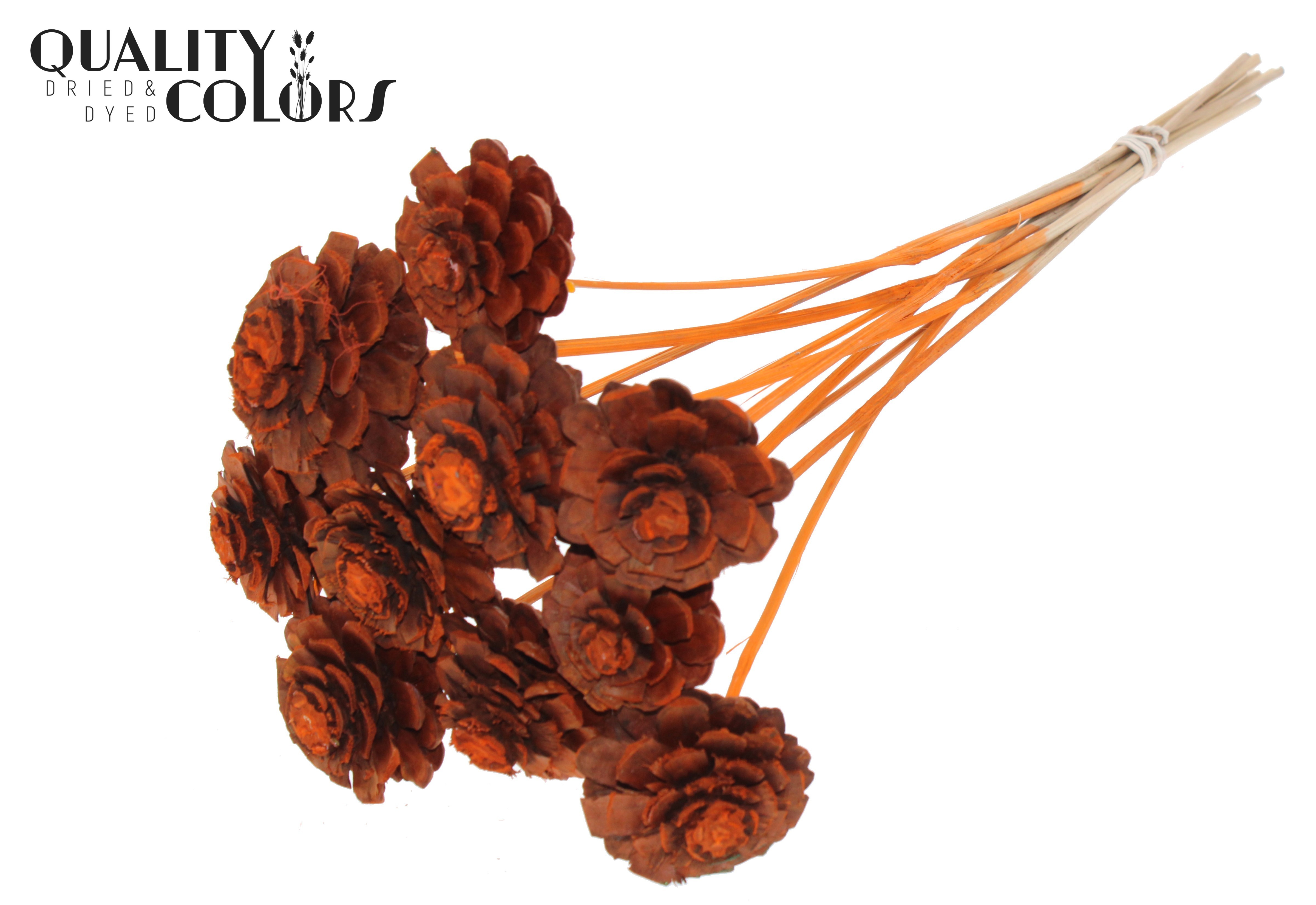 Pine Cone Orange 50cm