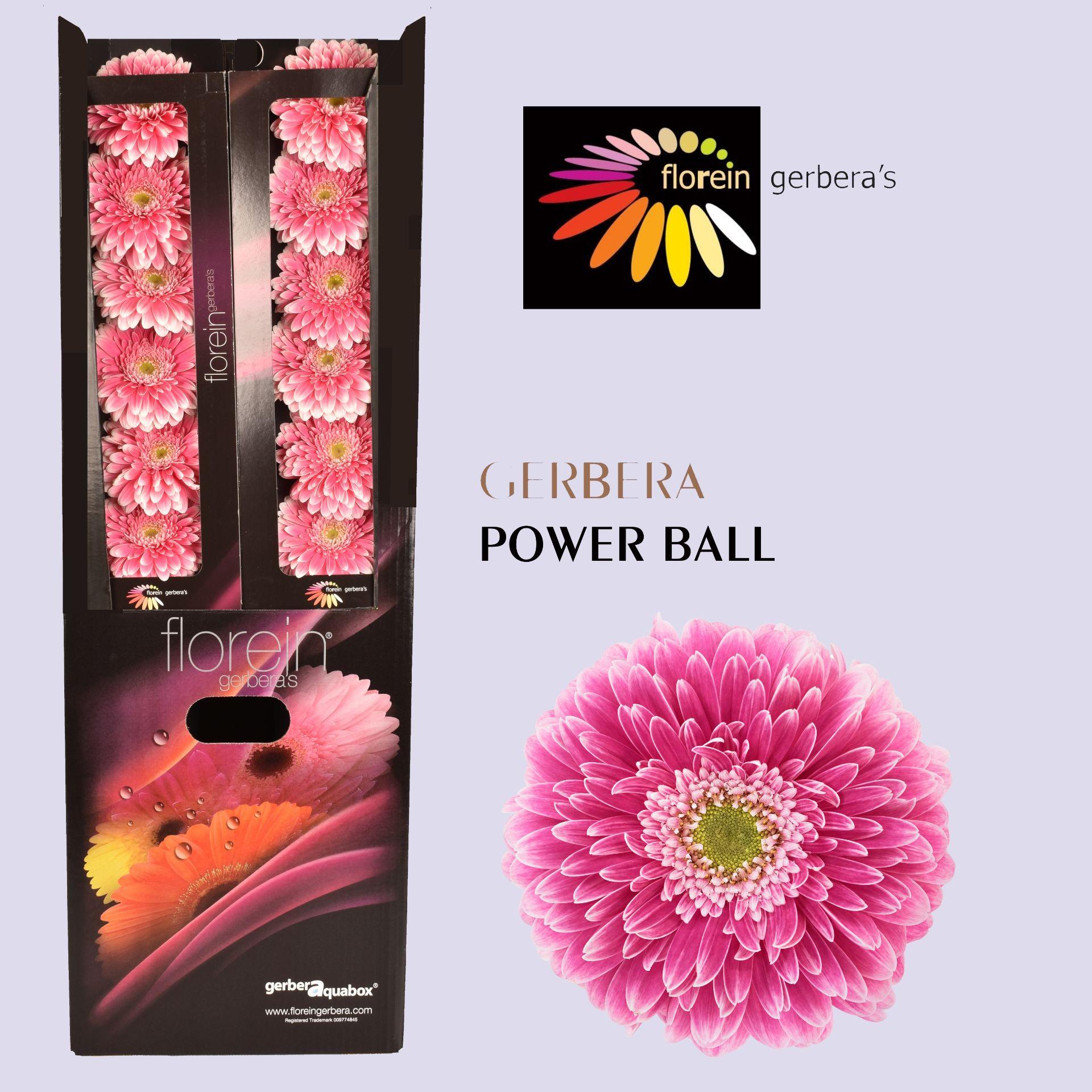 Ge Gb Pom Power Ball Aquabox 80
