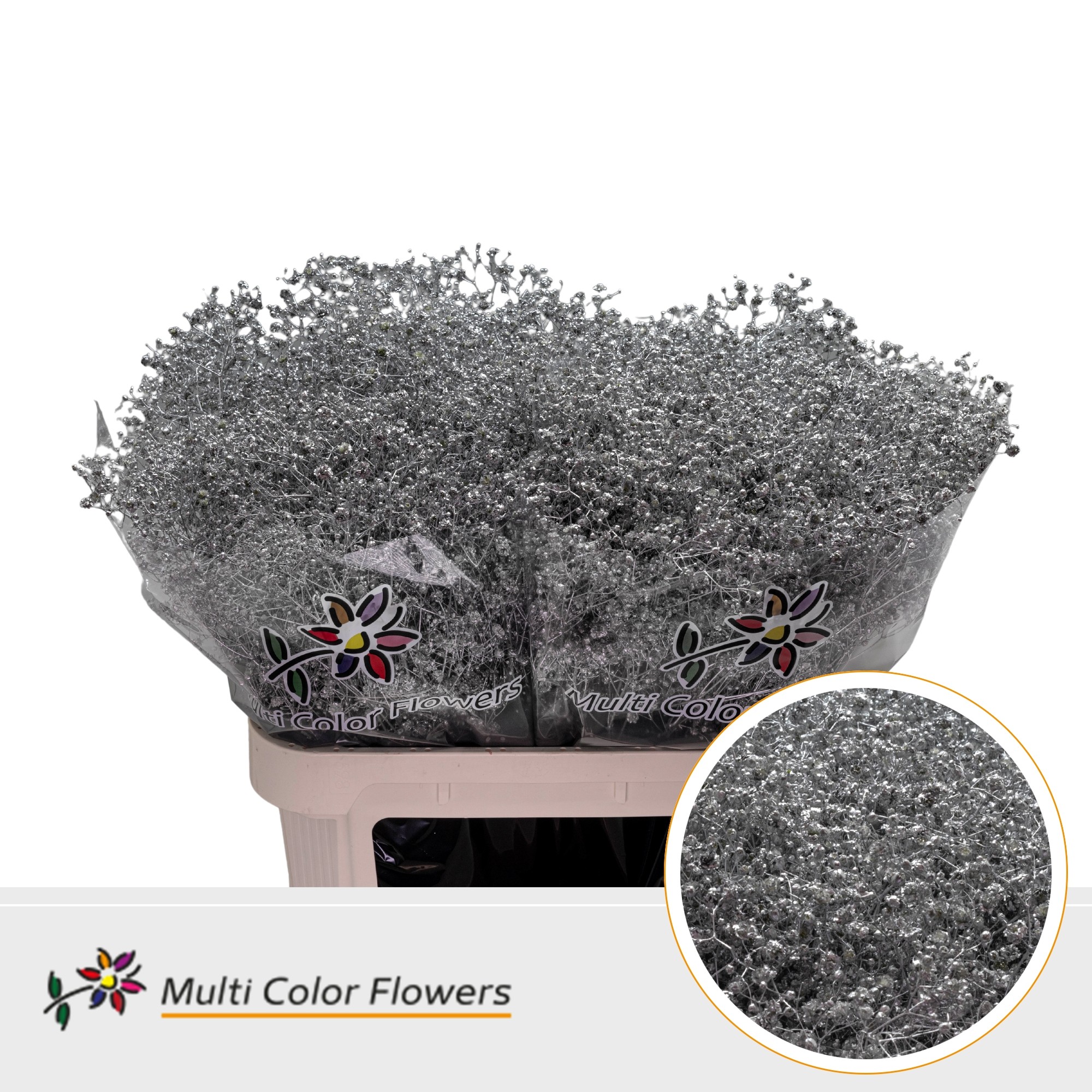 Gypsophila Painted Xlence Silver 80cm