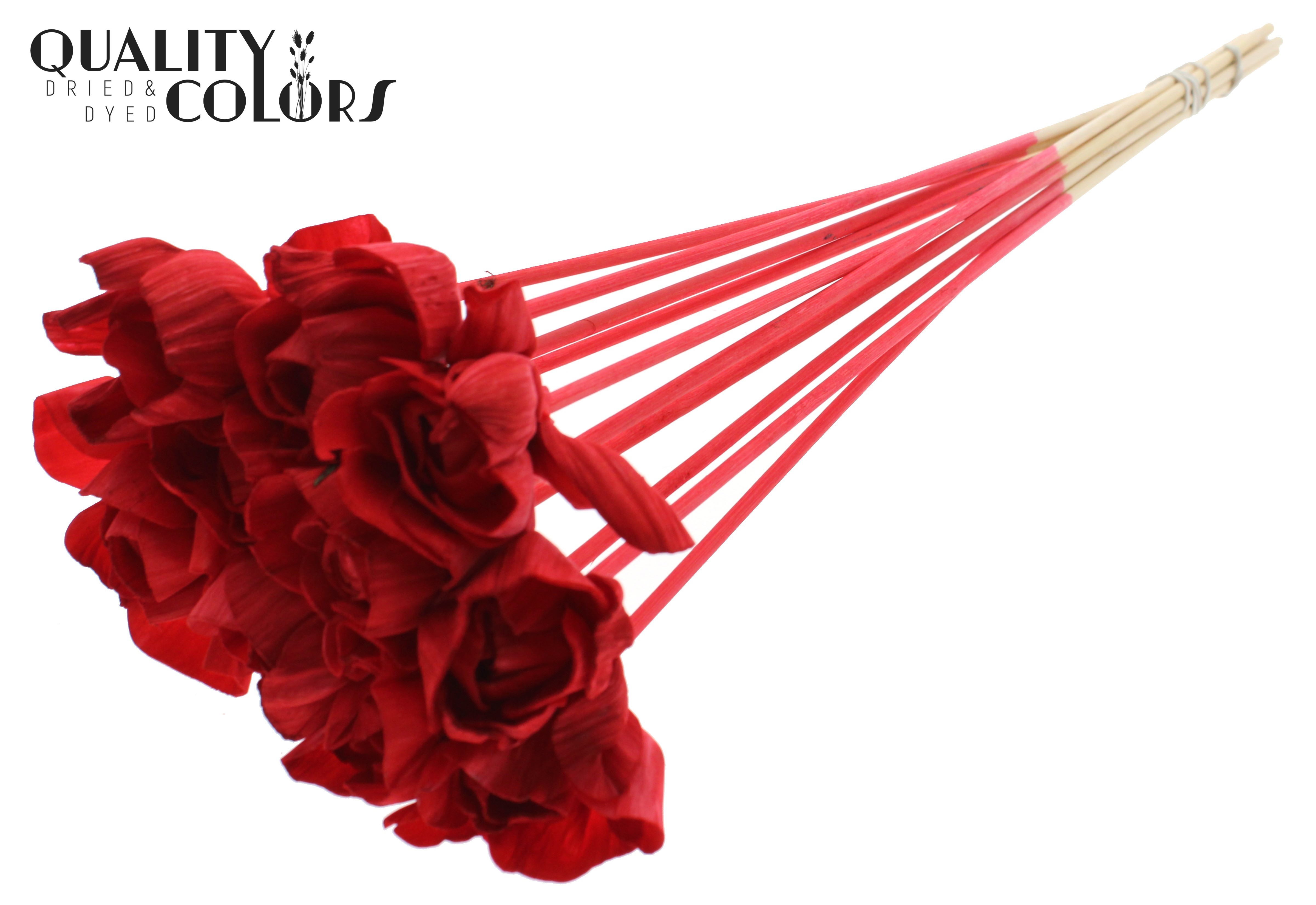 Shola Dear Holly Red 50cm