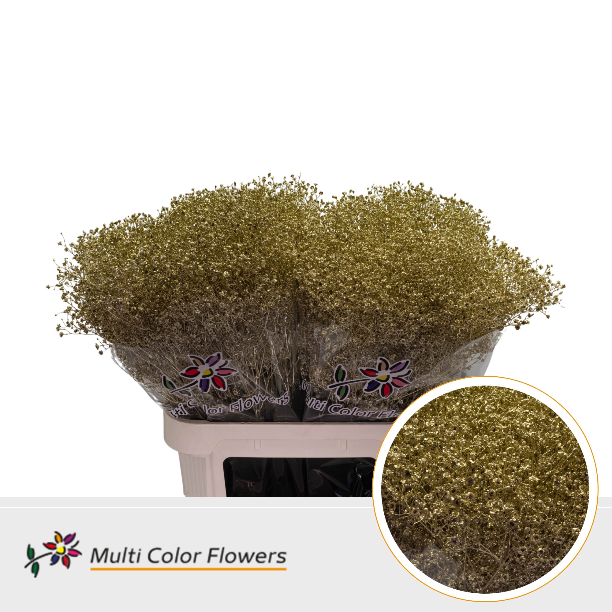 Gypsophila Painted Million Star Gold 80cm