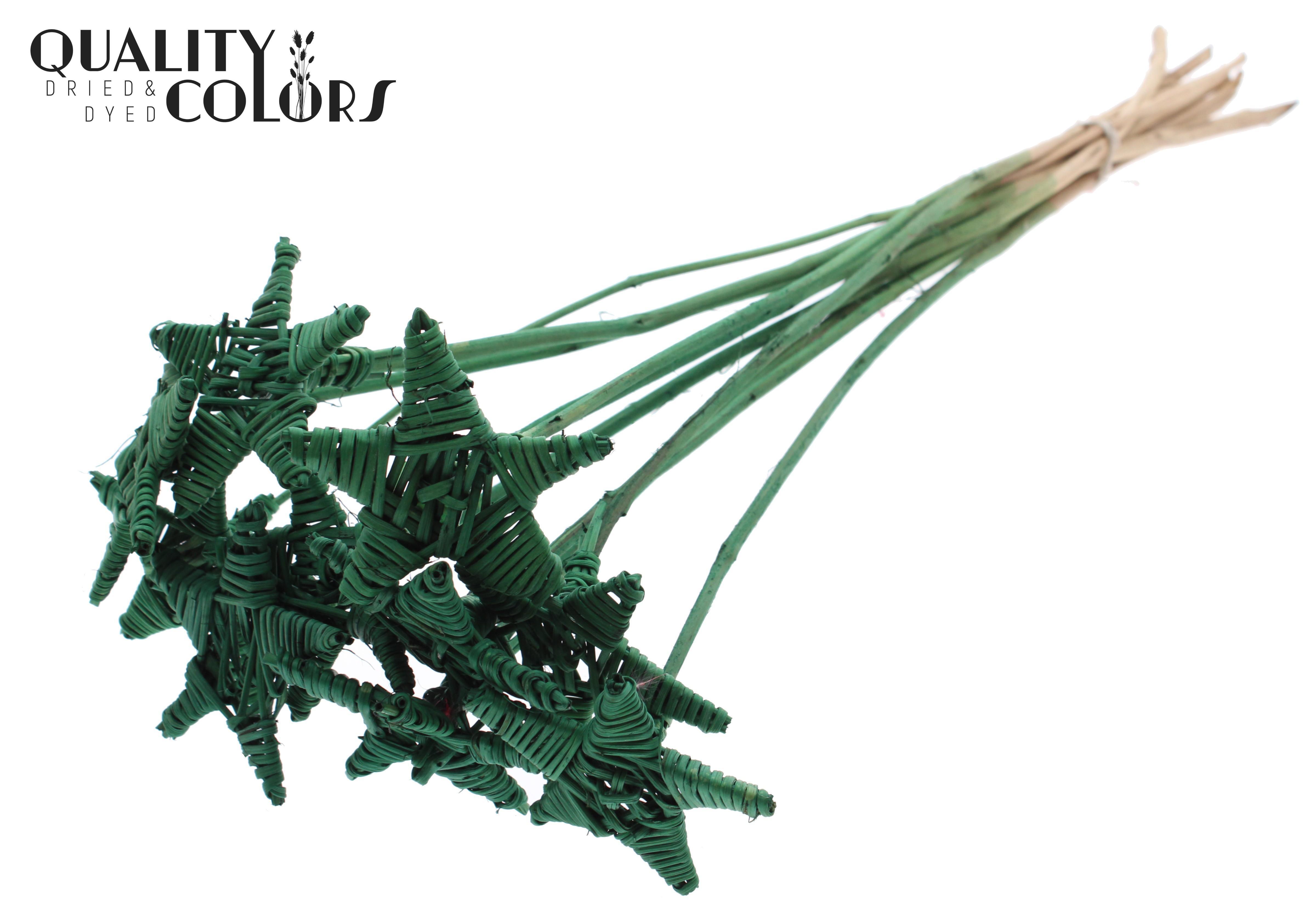 Lata Star Green 50cm
