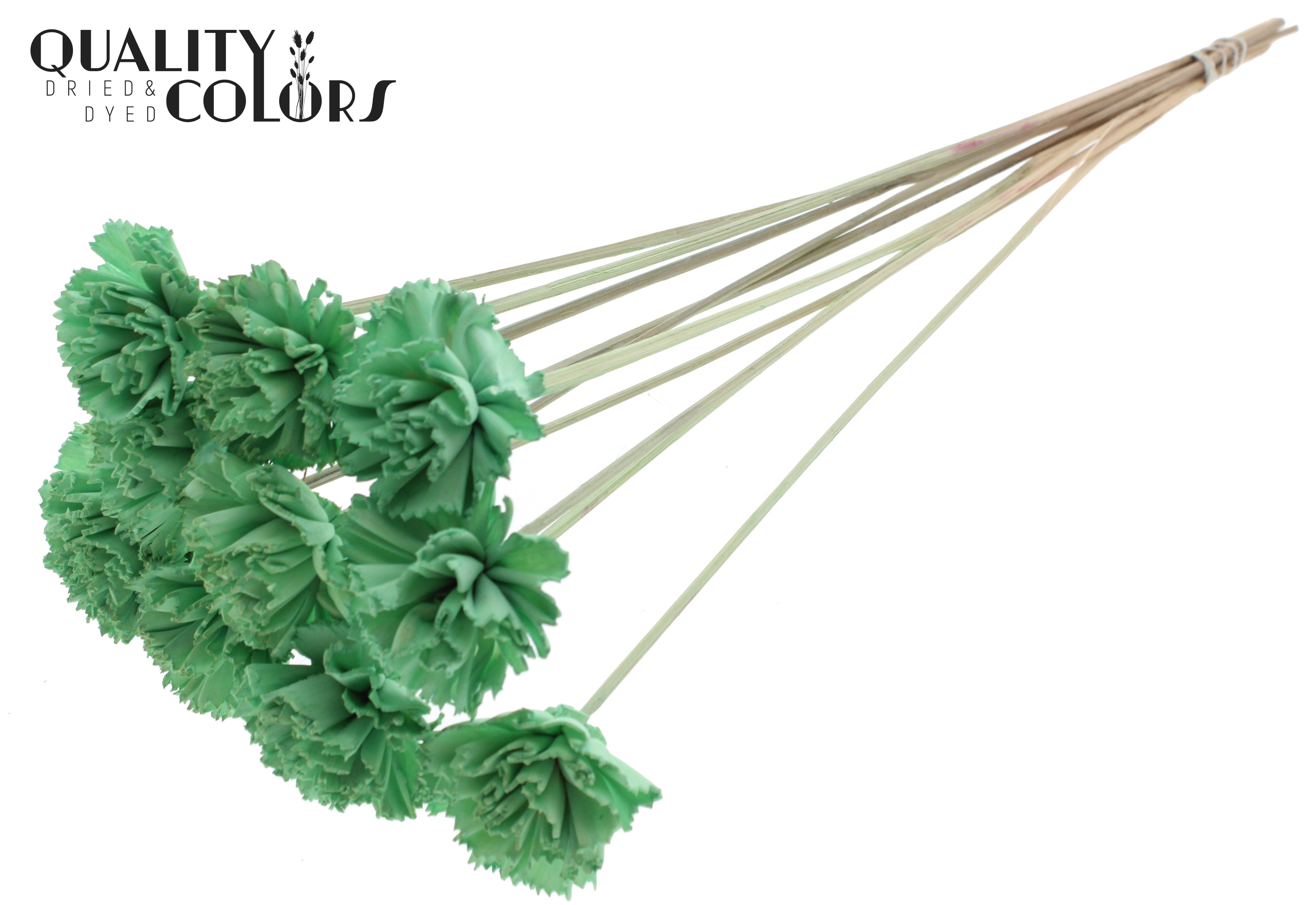 Shola Karnish Flower Mint Green 50cm