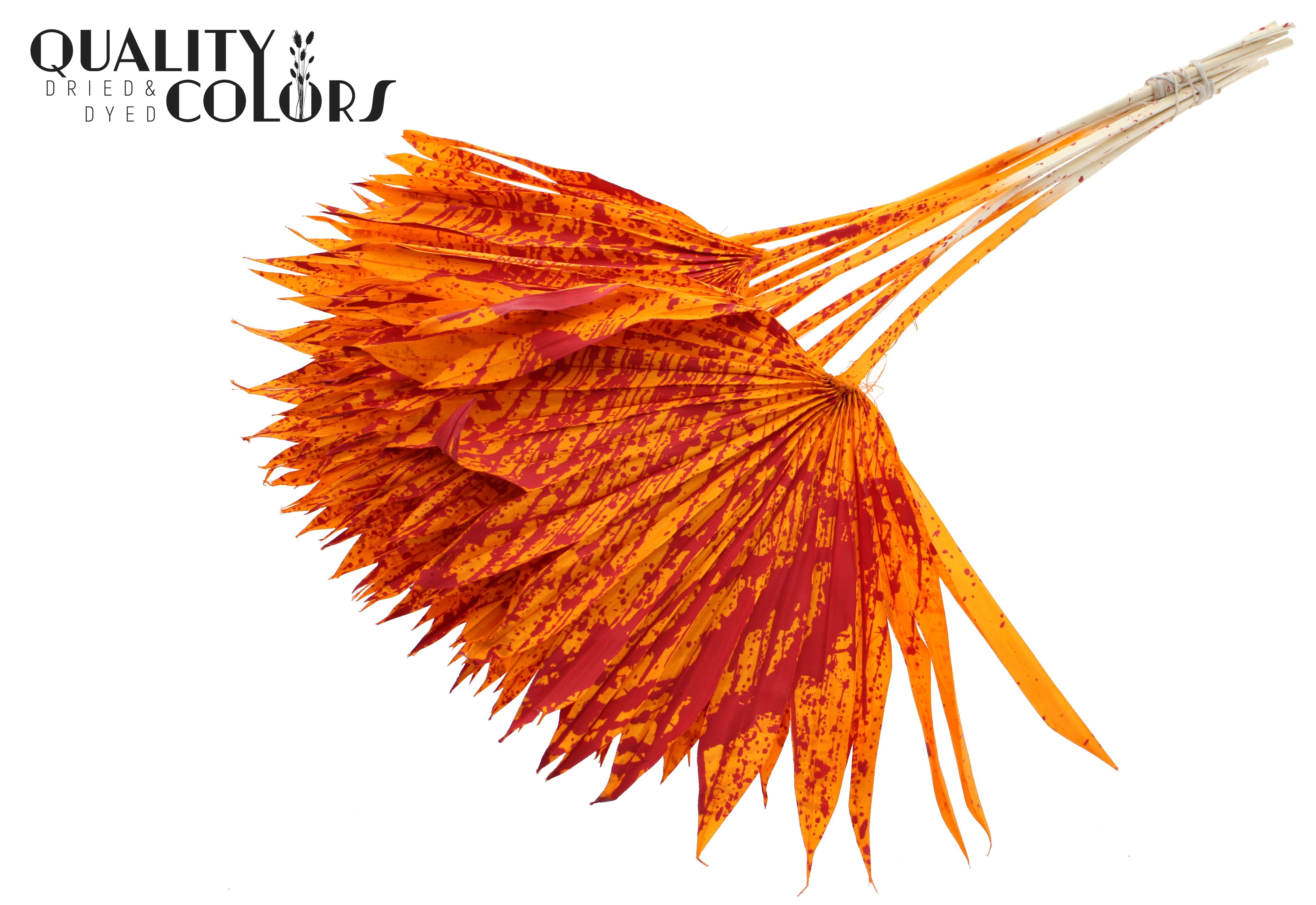 Palm Sun Splashed Orange Red 50cm