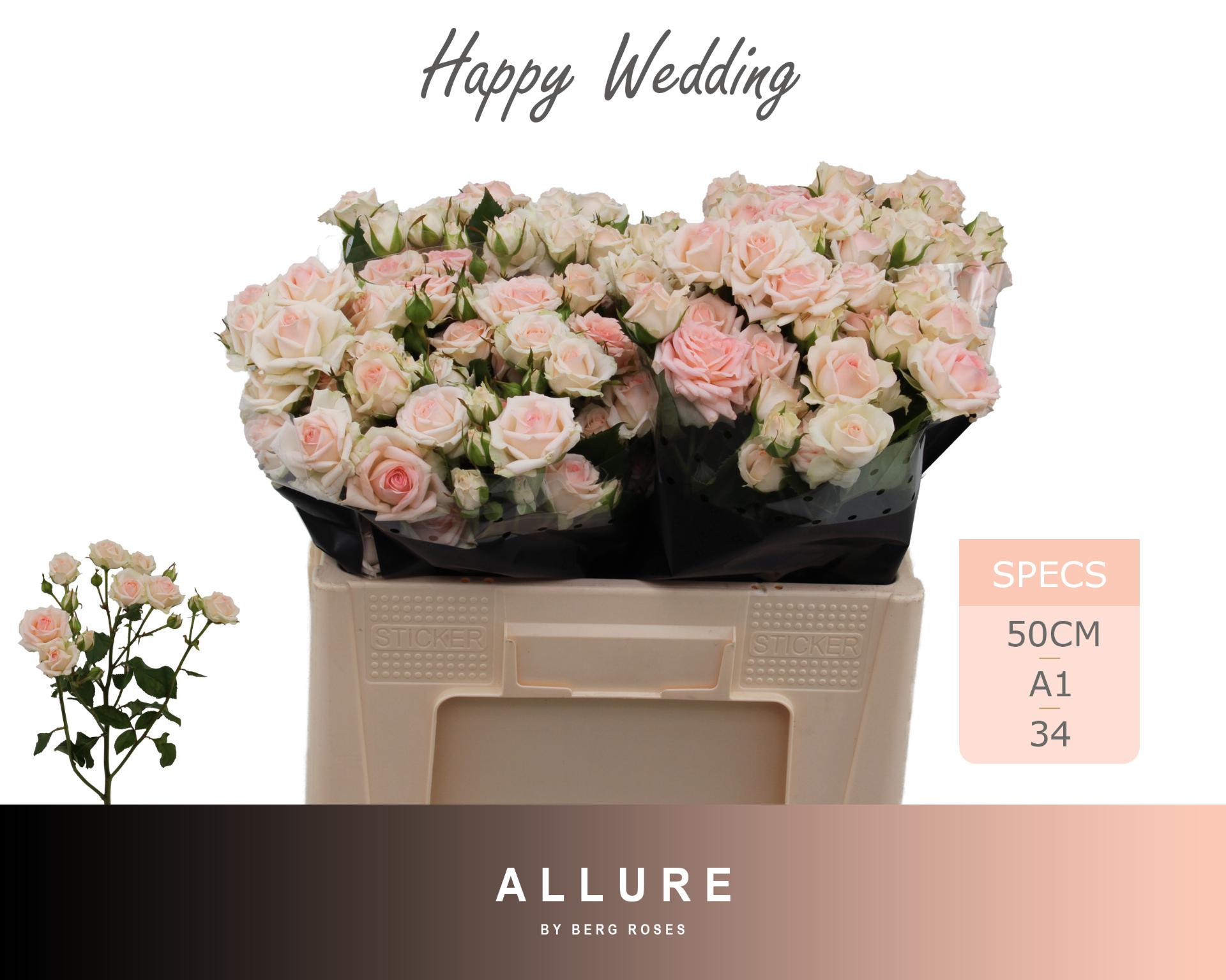 R Tr Happy Wedding 50cm