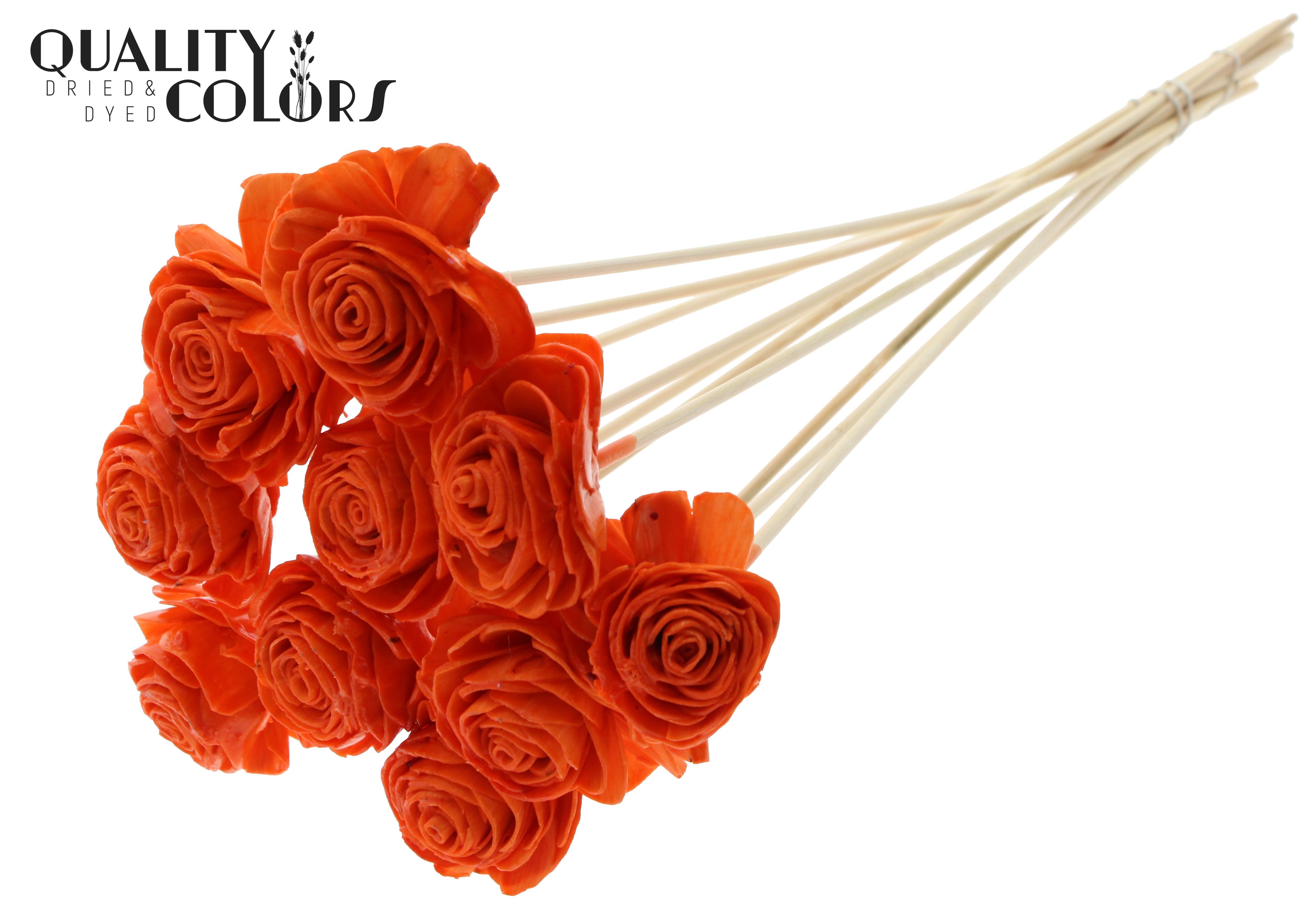 Shola Beauty Rose Wax Orange 50cm