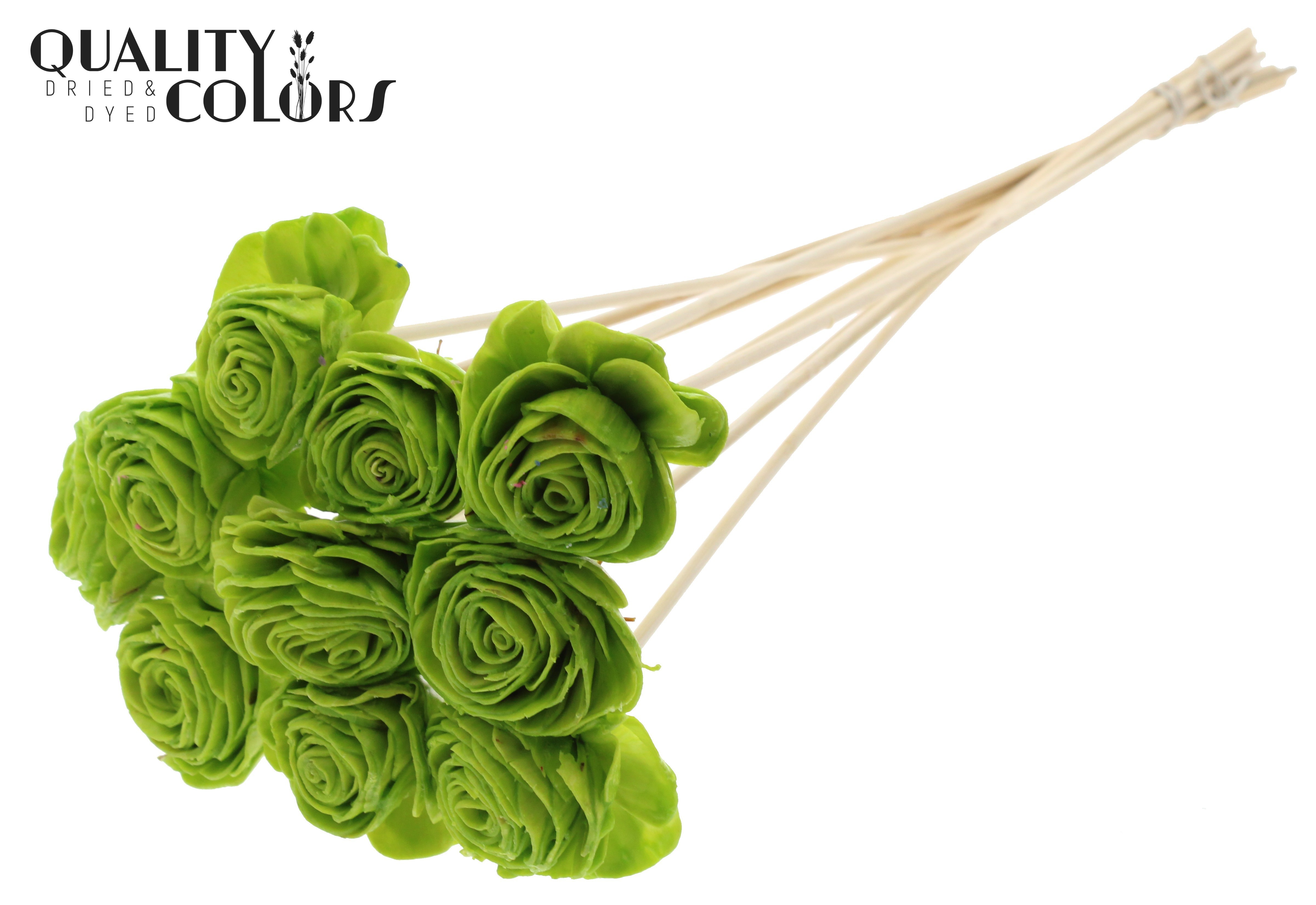 Shola Beauty Rose Wax Light Green 50cm