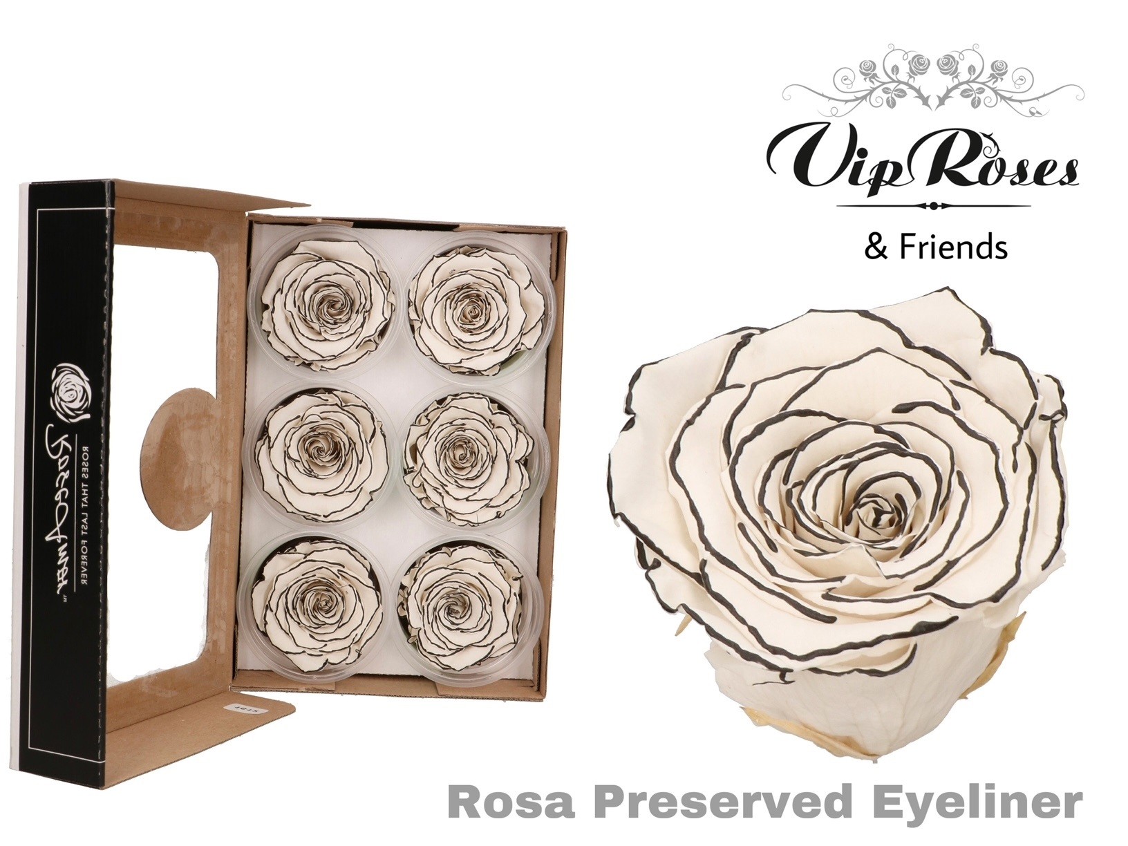 R Preserved Eyeliner 5 cm