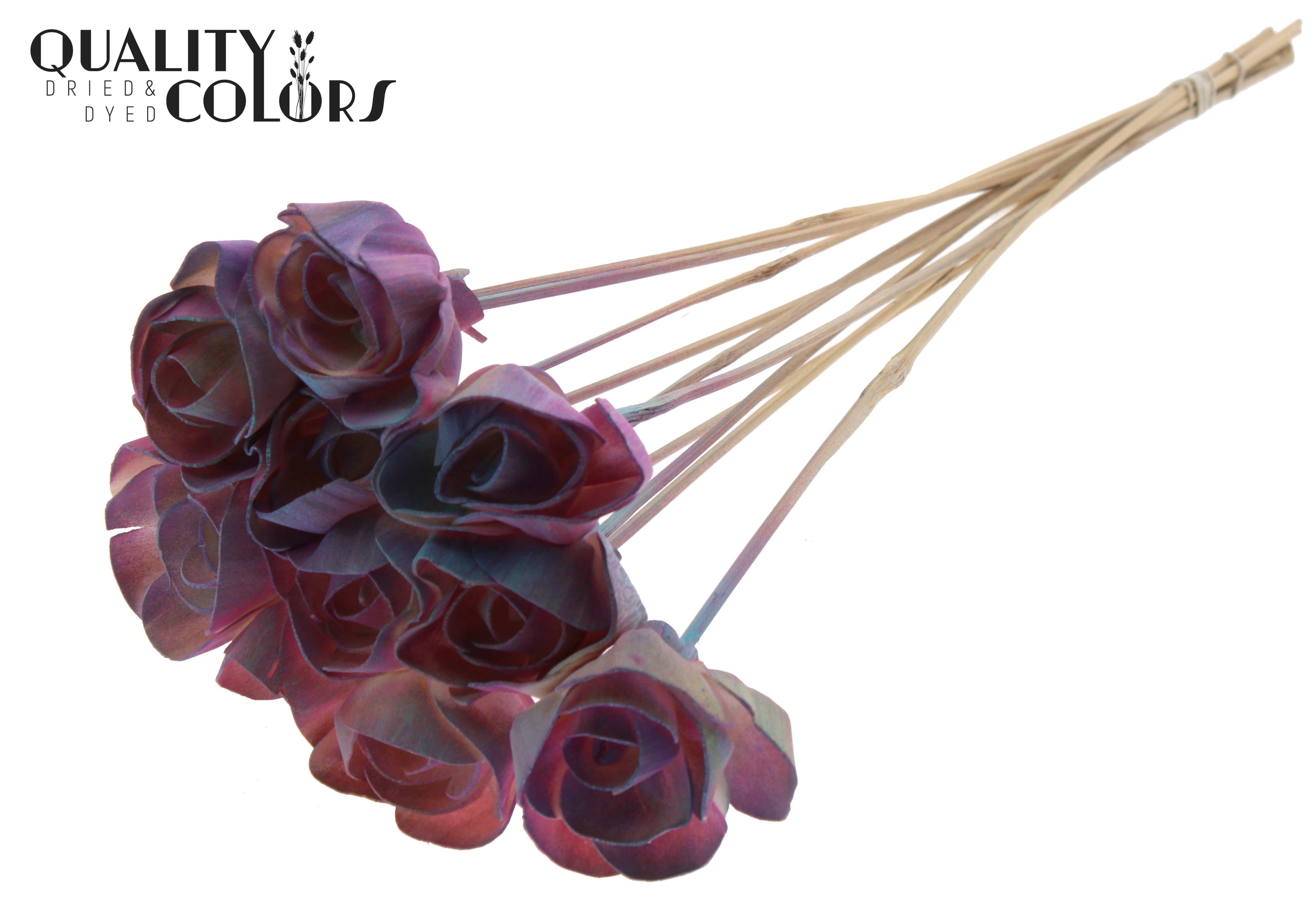 Shola Dear Holly Gradient Pink 50cm