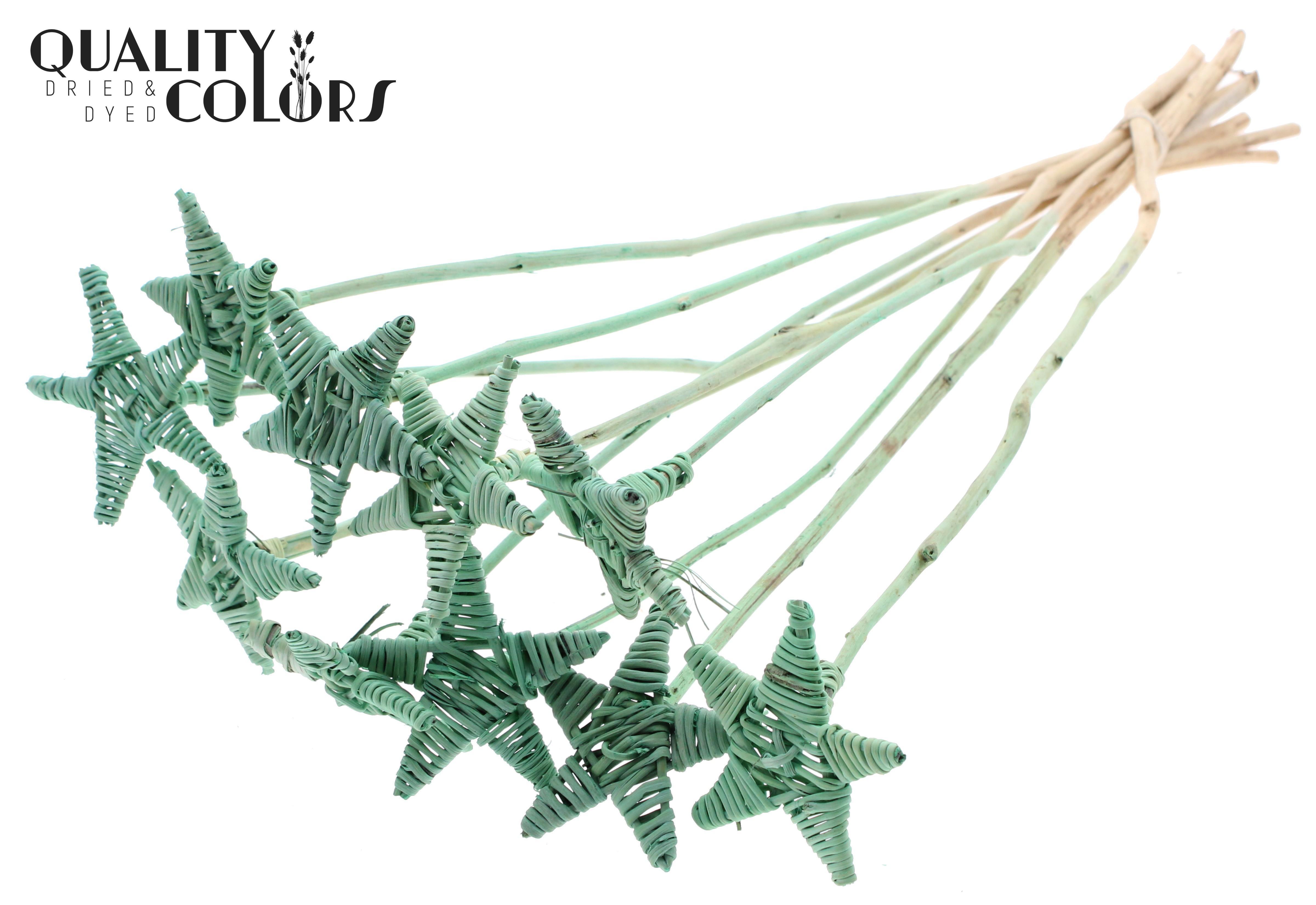 Lata Star Mint Green 50cm